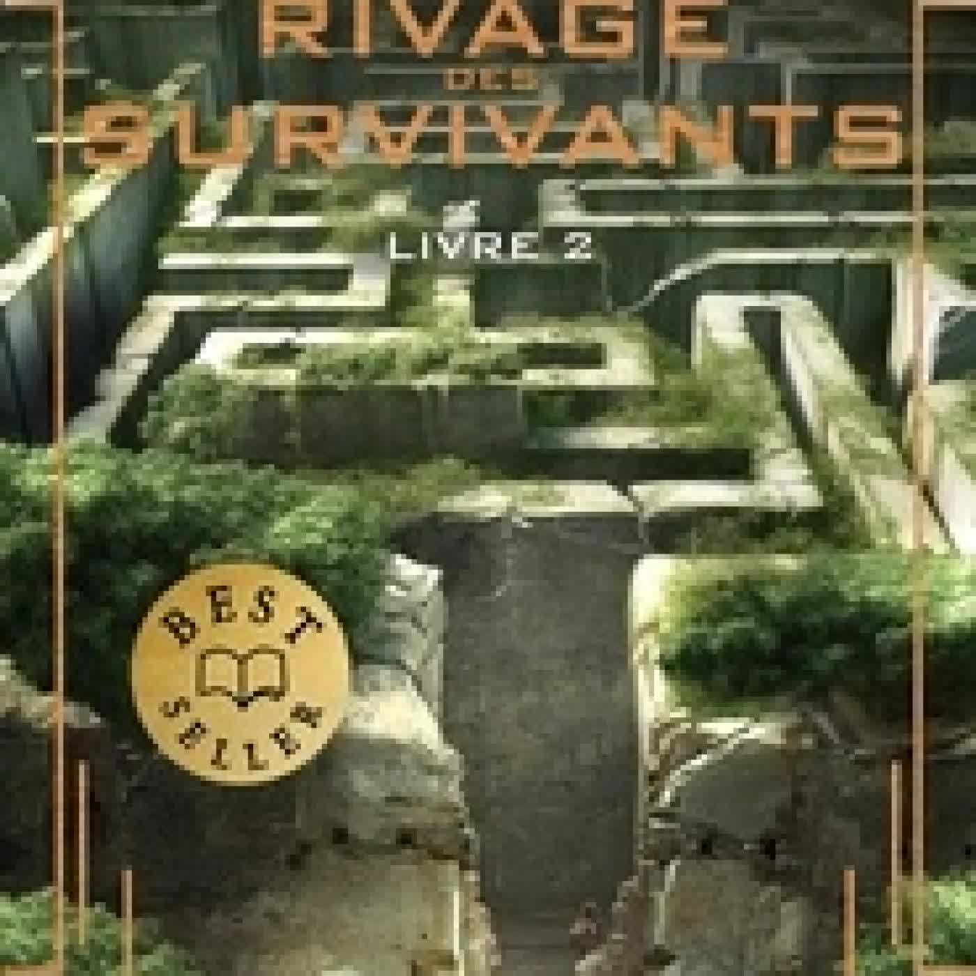 Lire en ligne : Le Labyrinthe - Le rivage des survivants Tome 2