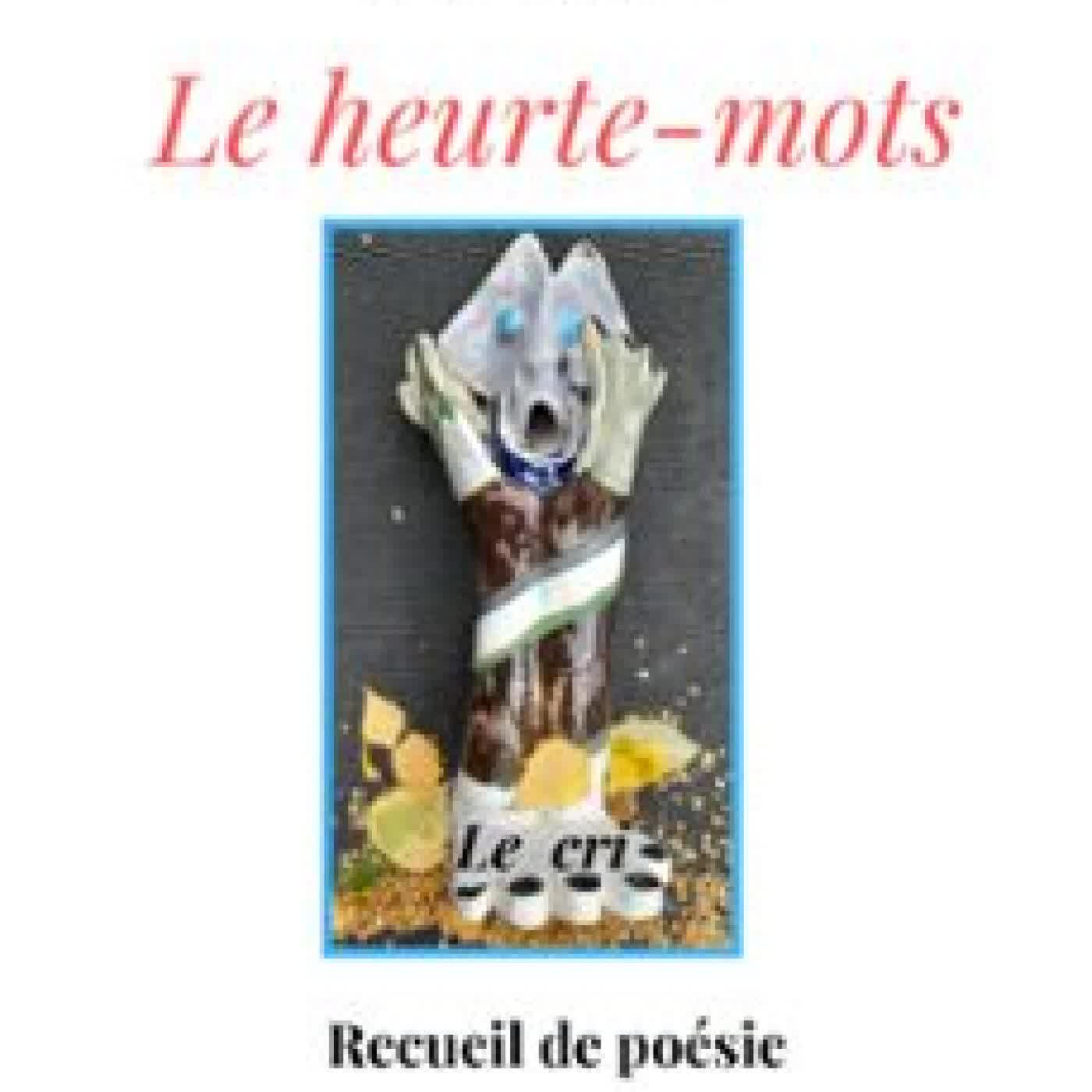 LE HEURTE-MOTS YVES DURLIN