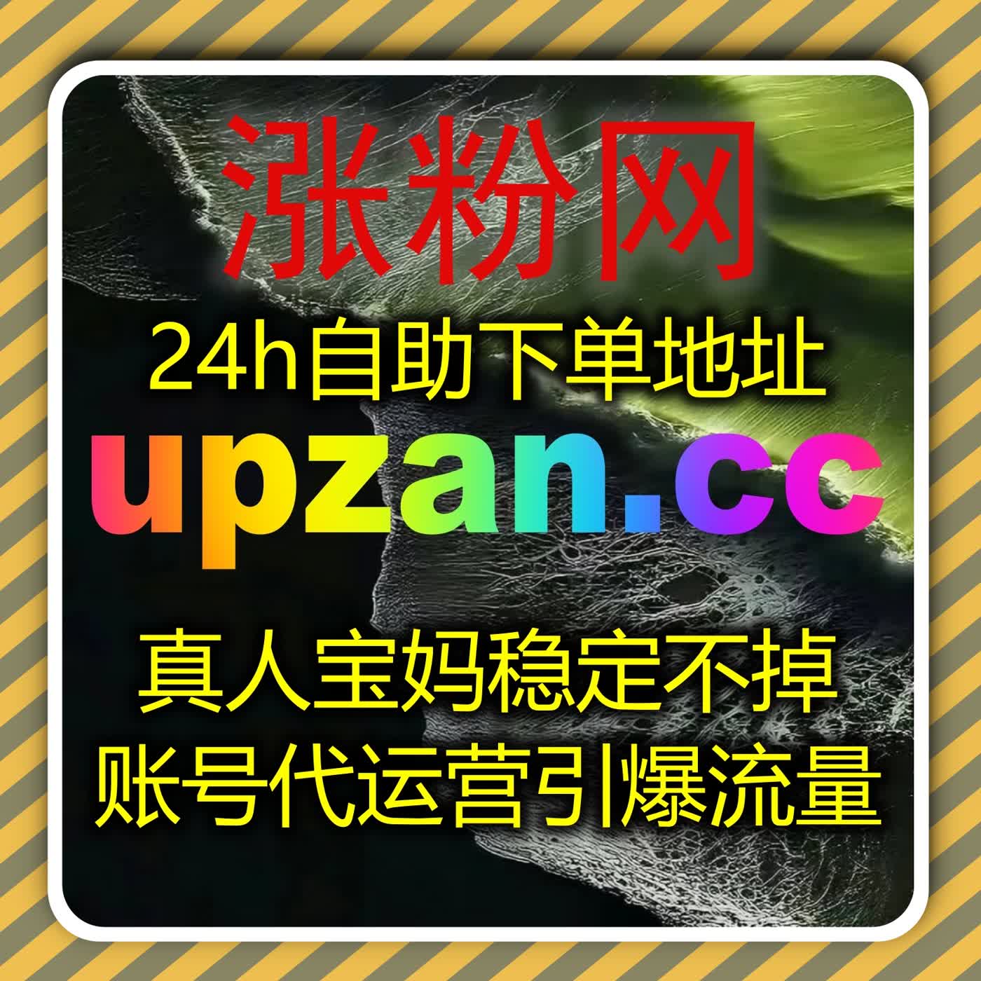 为什么越来越多B站UP主选择自动化平台来高效管理视频互动和粉丝粘性?