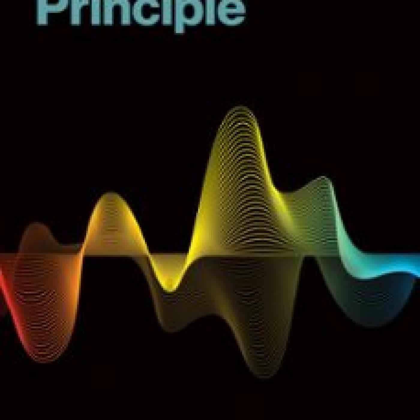 THE INVARIANCE PRINCIPLE DAVID LOPEZ-PAZ
