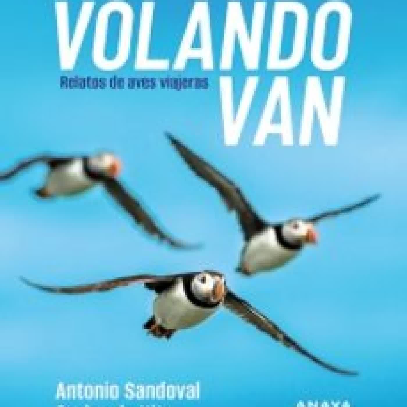 VOLANDO VAN ANTONIO JUAN SANDOVAL REY, Carlos de Hita Moreno