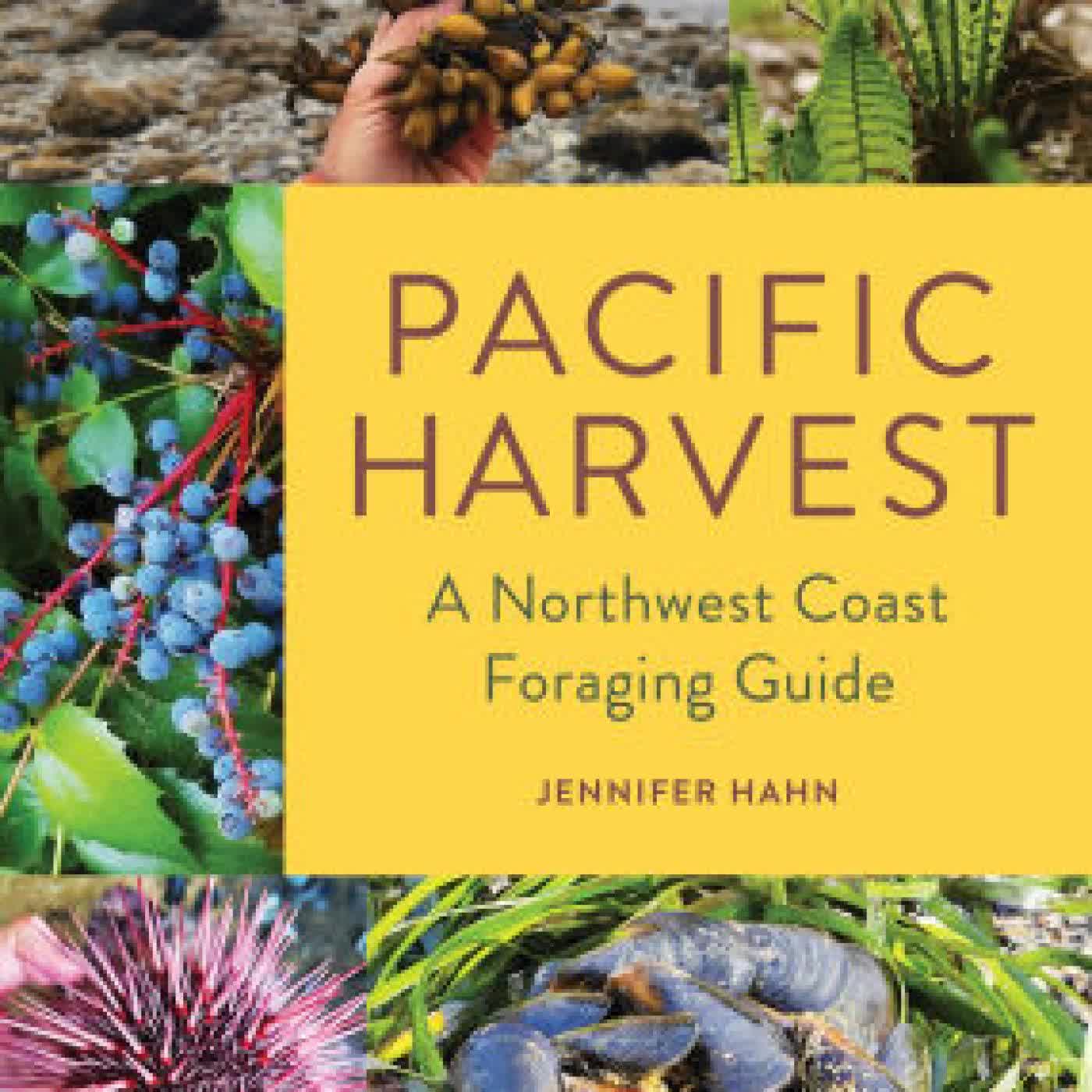 Pacific Harvest: A Northwest Coast Foraging Guide by Jennifer Hahn on Iphone New Format