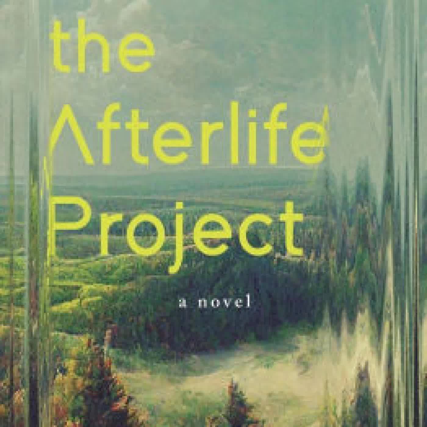 Read online: The Afterlife Project: A Novel by Tim Weed