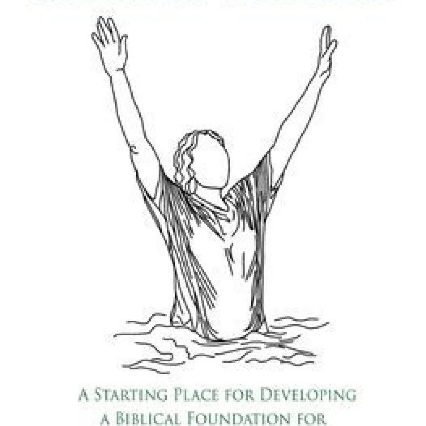 Understanding Emotional Victory 101: A Starting Place for Developing a Biblical Foundation for Emotional Intelligence by Darrin Crow, Jordan Haren on Iphone New Format