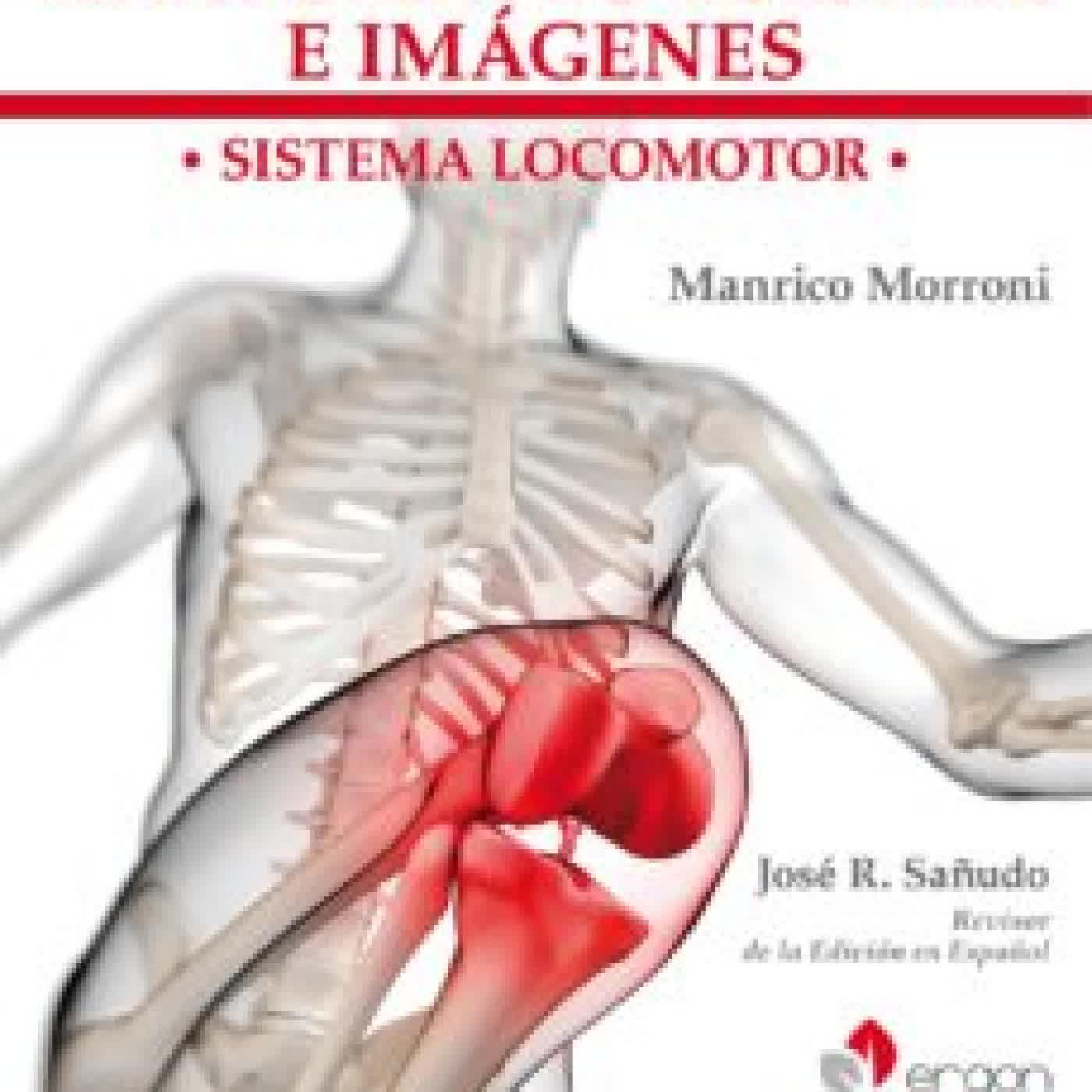ANATOMIA FUNCIONAL E IMAGENES: SISTEMA LOCOMOTOR JOSÉ R. SAÑUDO. MANRICO MORRONI