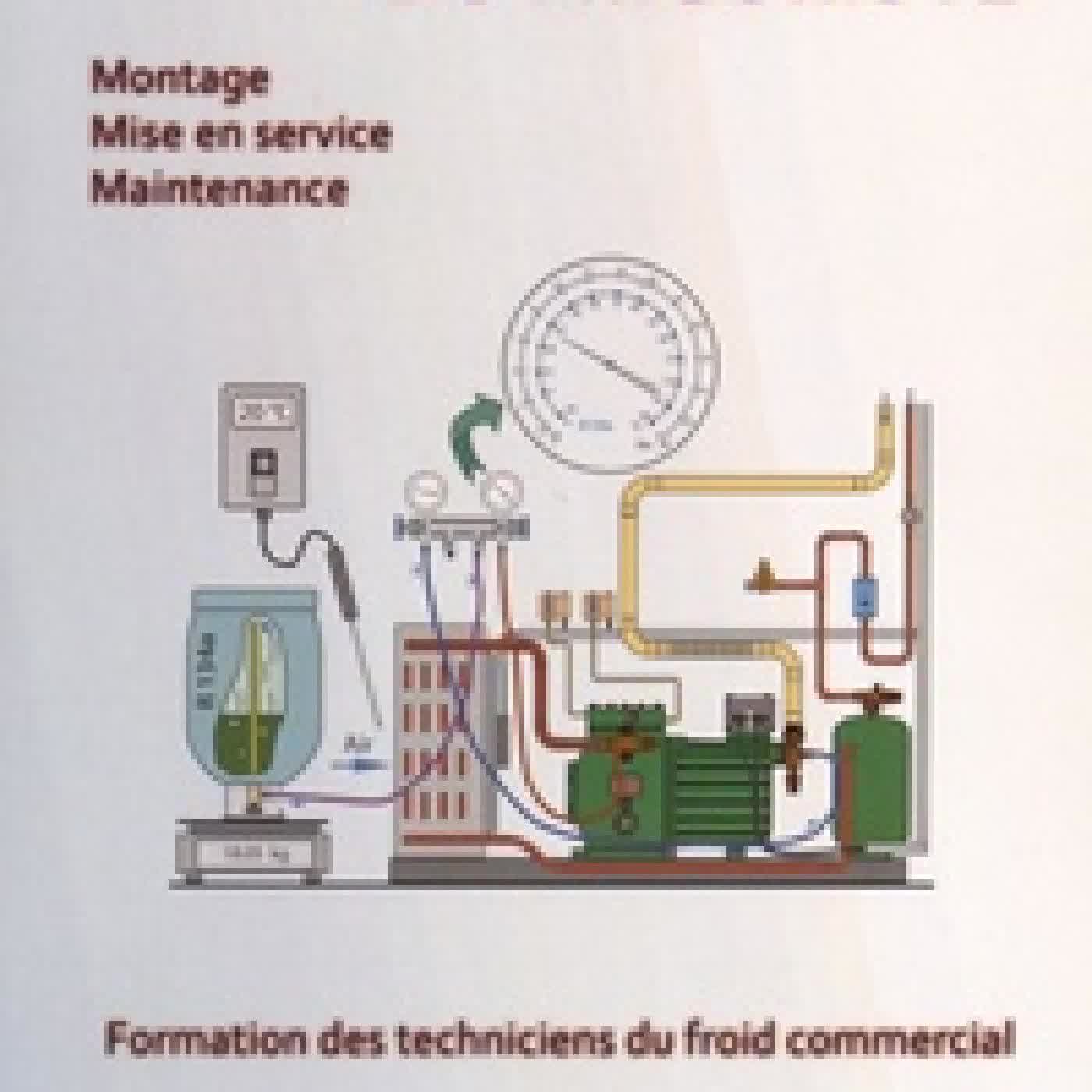 Lire en ligne : Le savoir-faire du frigoriste - Formation des techniciens du froid commercial