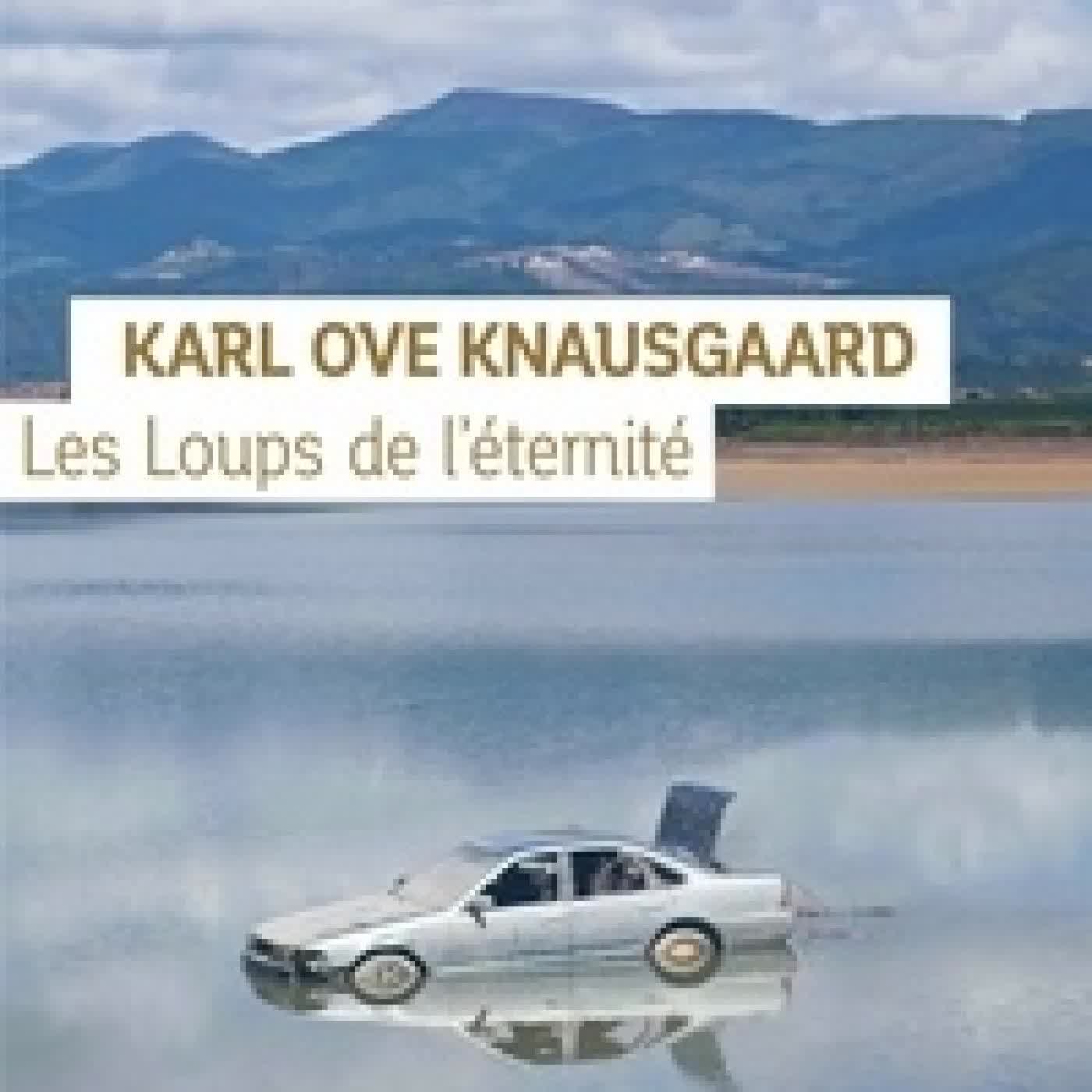 {téléchargement} Les Loups de l'éternité