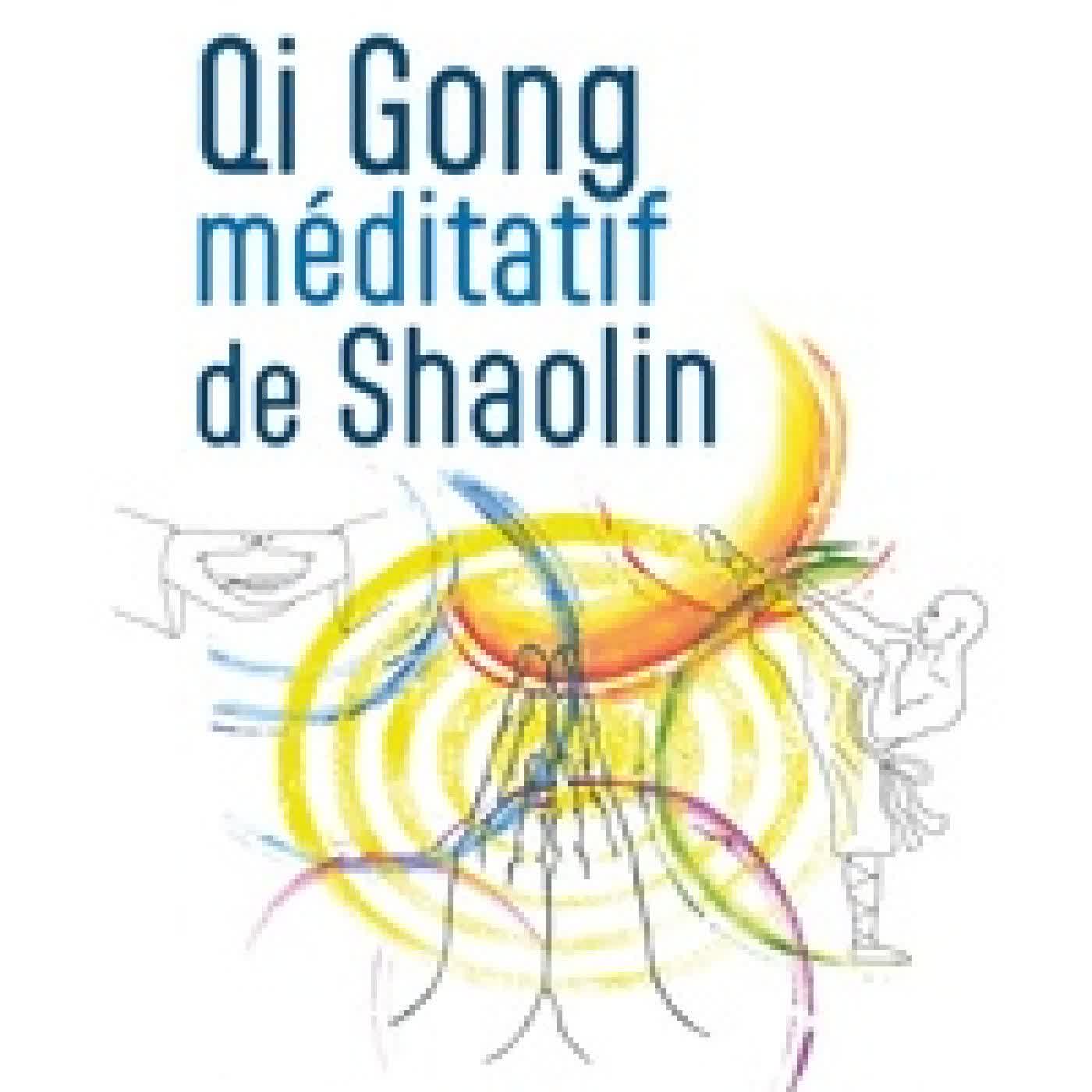 Lire en ligne : Qi Gong méditatif de Shaolin