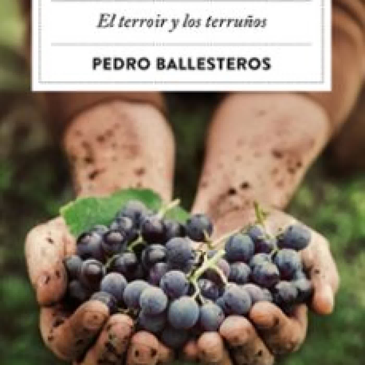 LOS LUGARES DEL VINO Pedro Ballesteros Torres