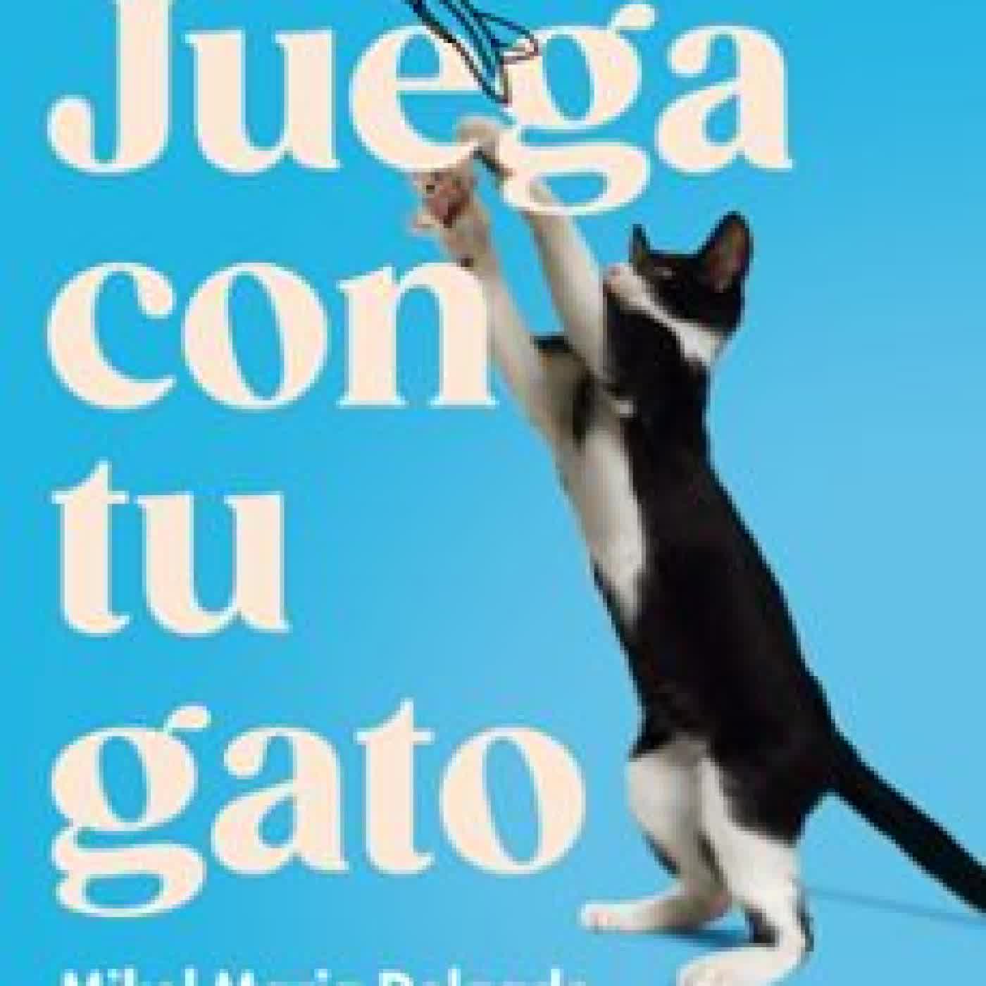 JUEGA CON TU GATO MIKEL MARIA DELGADO