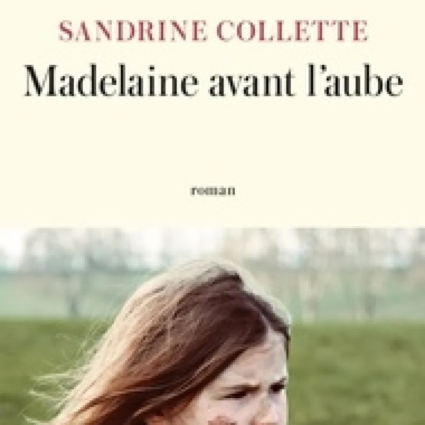 Télécharger Pdf Madelaine avant l'aube