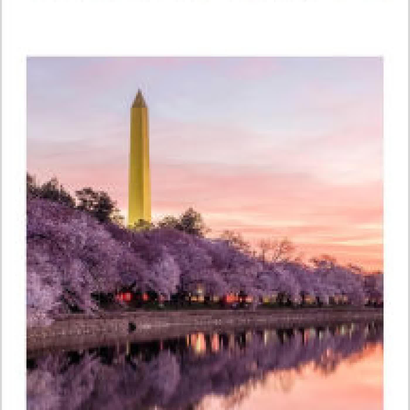 DK Top 10 Washington, DC by DK Travel on Iphone New Format