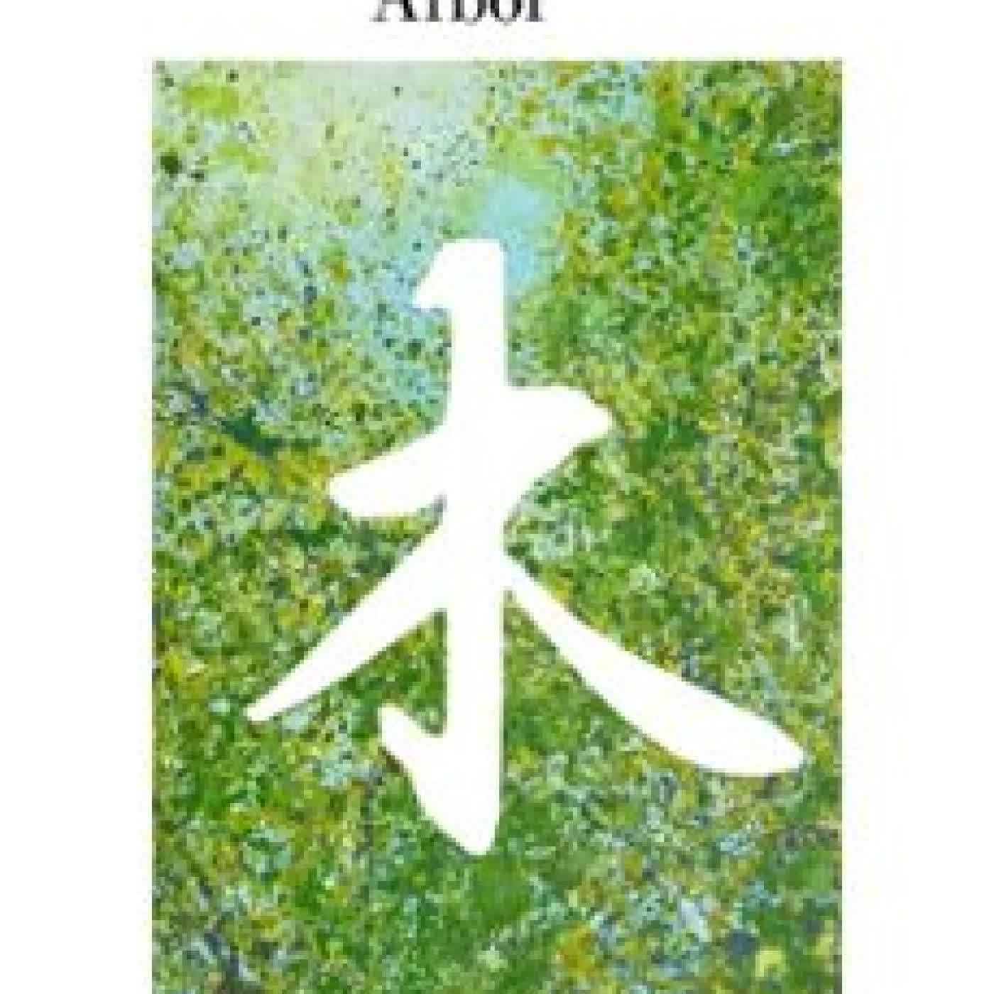 ÁRBOL K& X0014D AYA