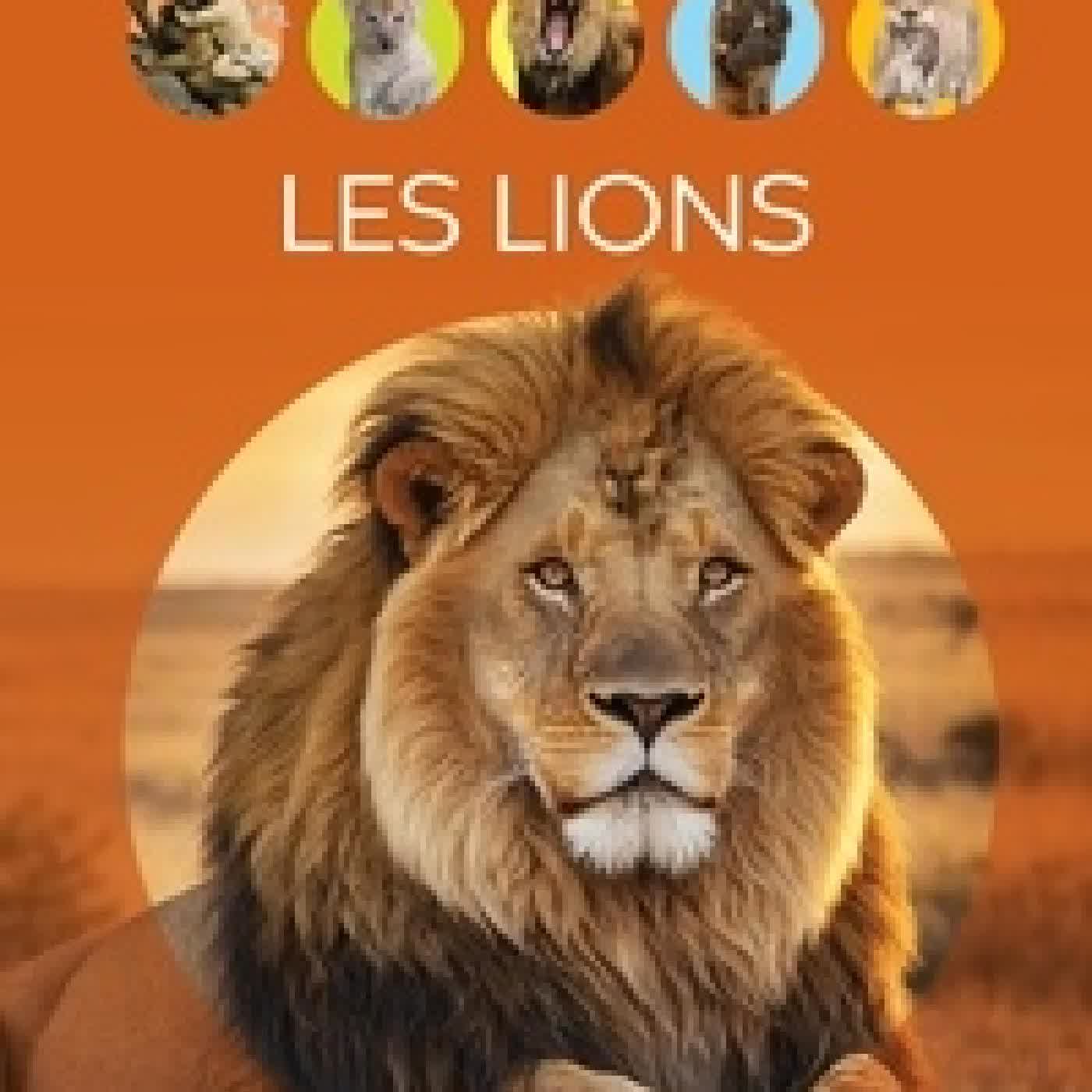 Télécharger Pdf Les lions