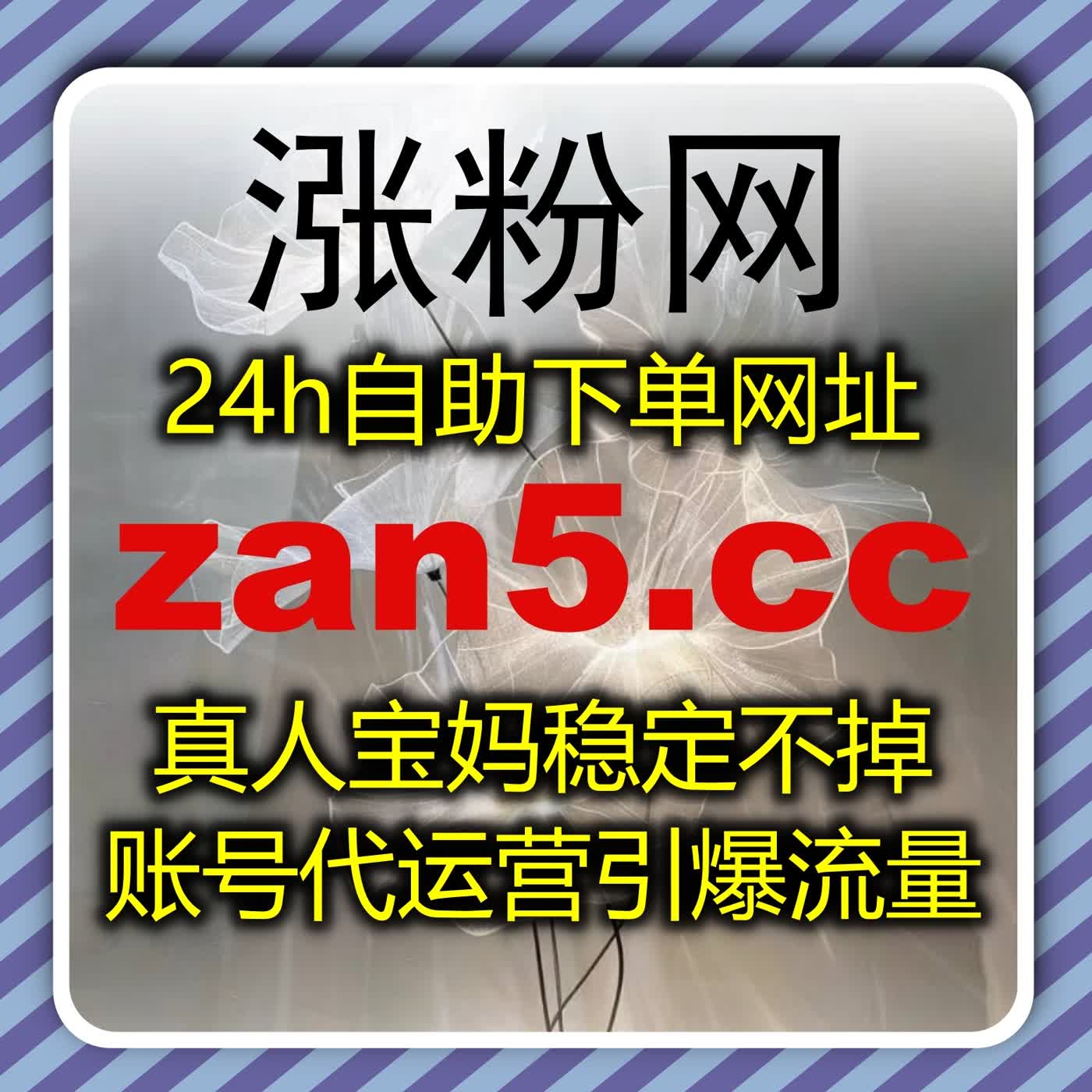 B站低价播放优化策略，自动化平台助力视频播放与粉丝互动提升 episode artwork