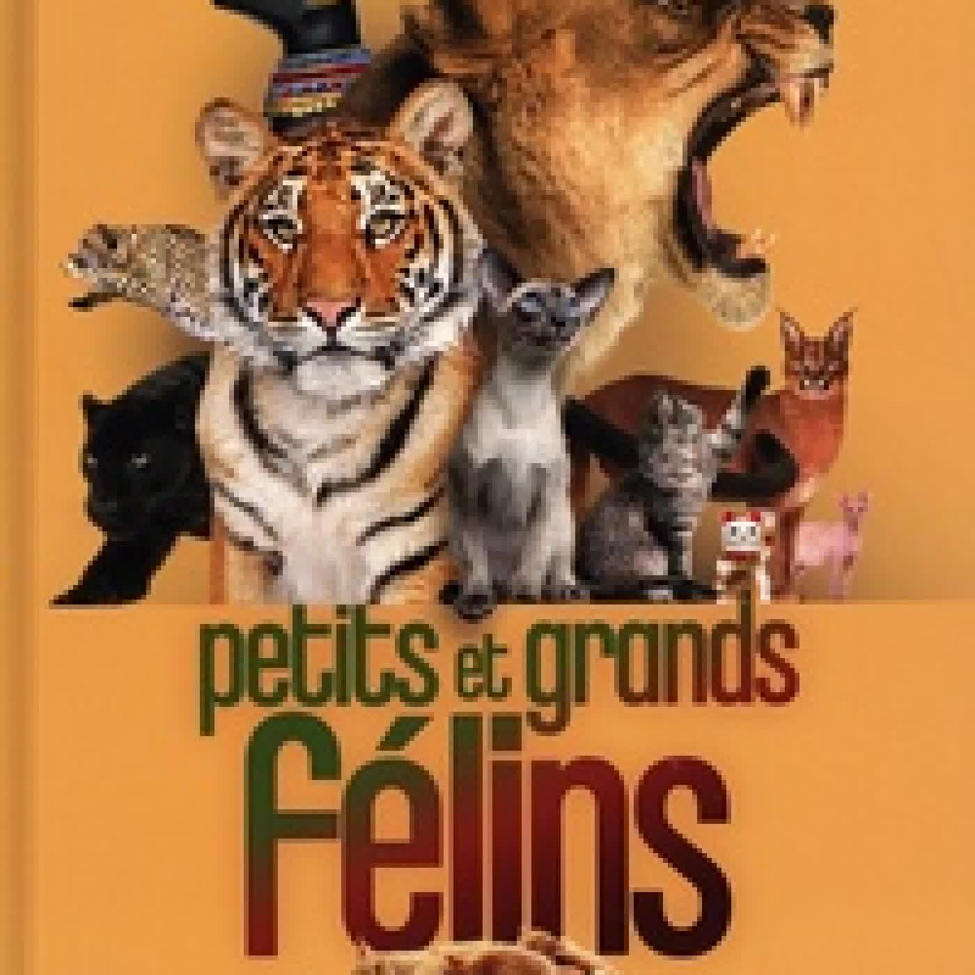 Lire en ligne : Petits et grands félins