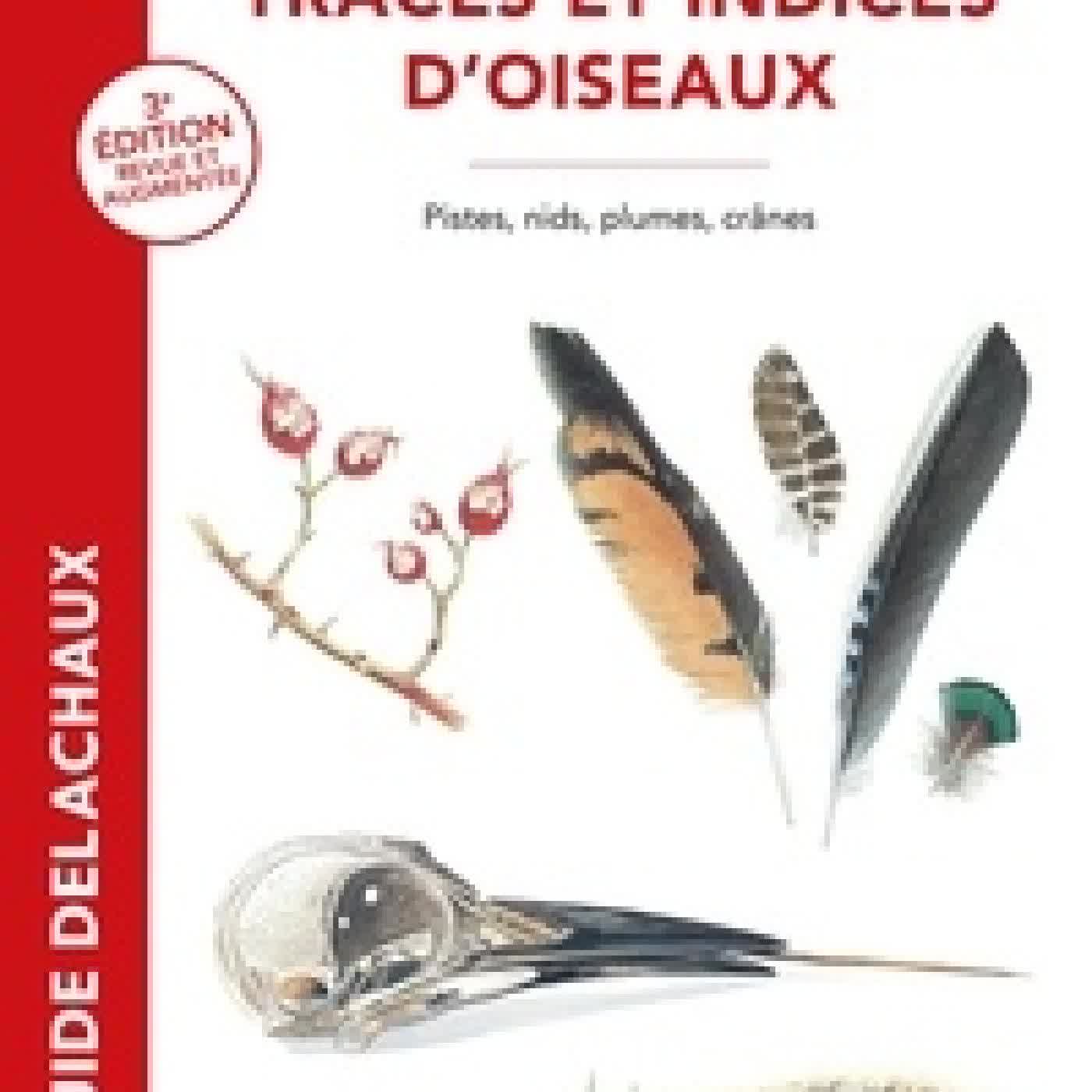 Lire en ligne : Traces et indices d'oiseaux. Pistes, nids, plumes, crânes3e édition revue et augmentée