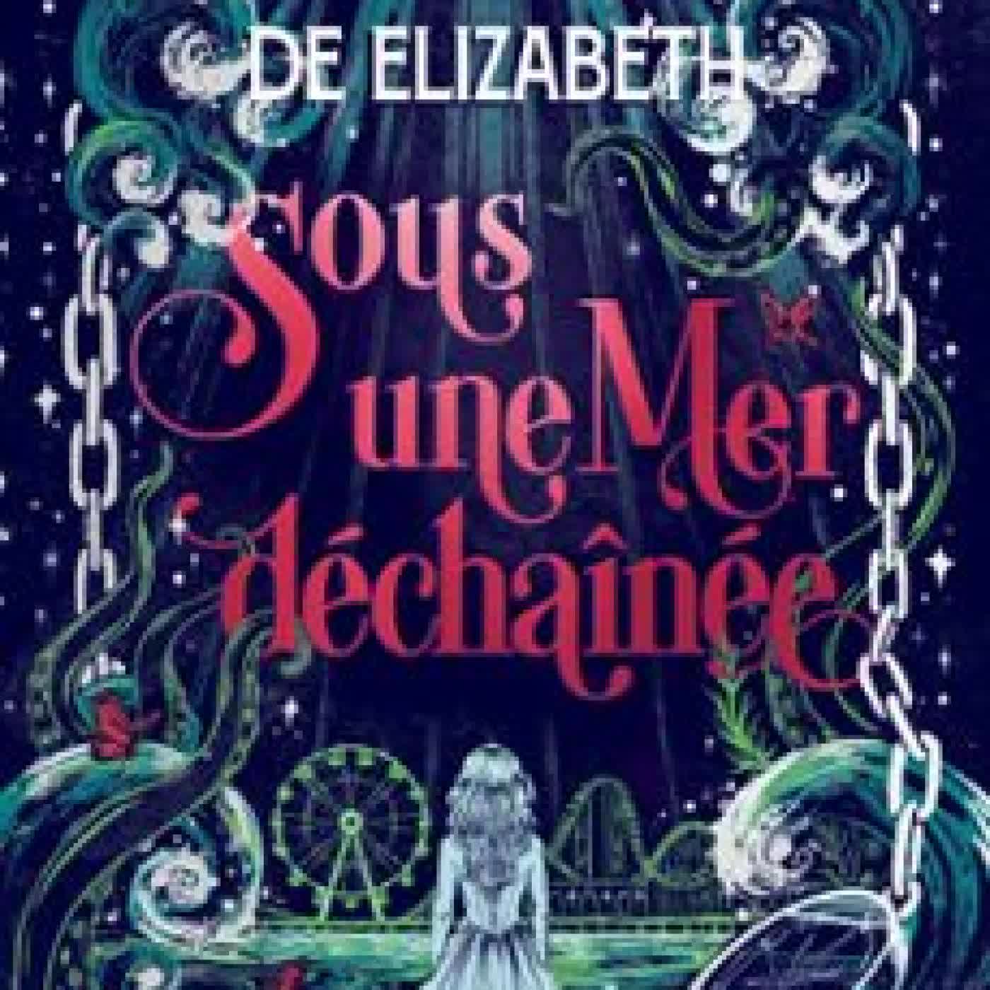 SOUS UNE MER DÉCHAÎNÉE (E-BOOK) DE ELISABETH