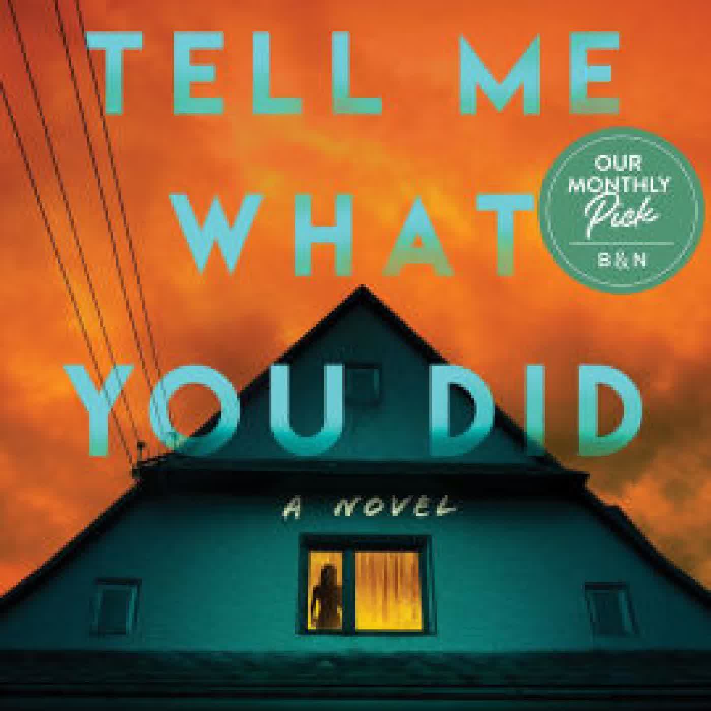 Read online: Tell Me What You Did: A Novel by Carter Wilson