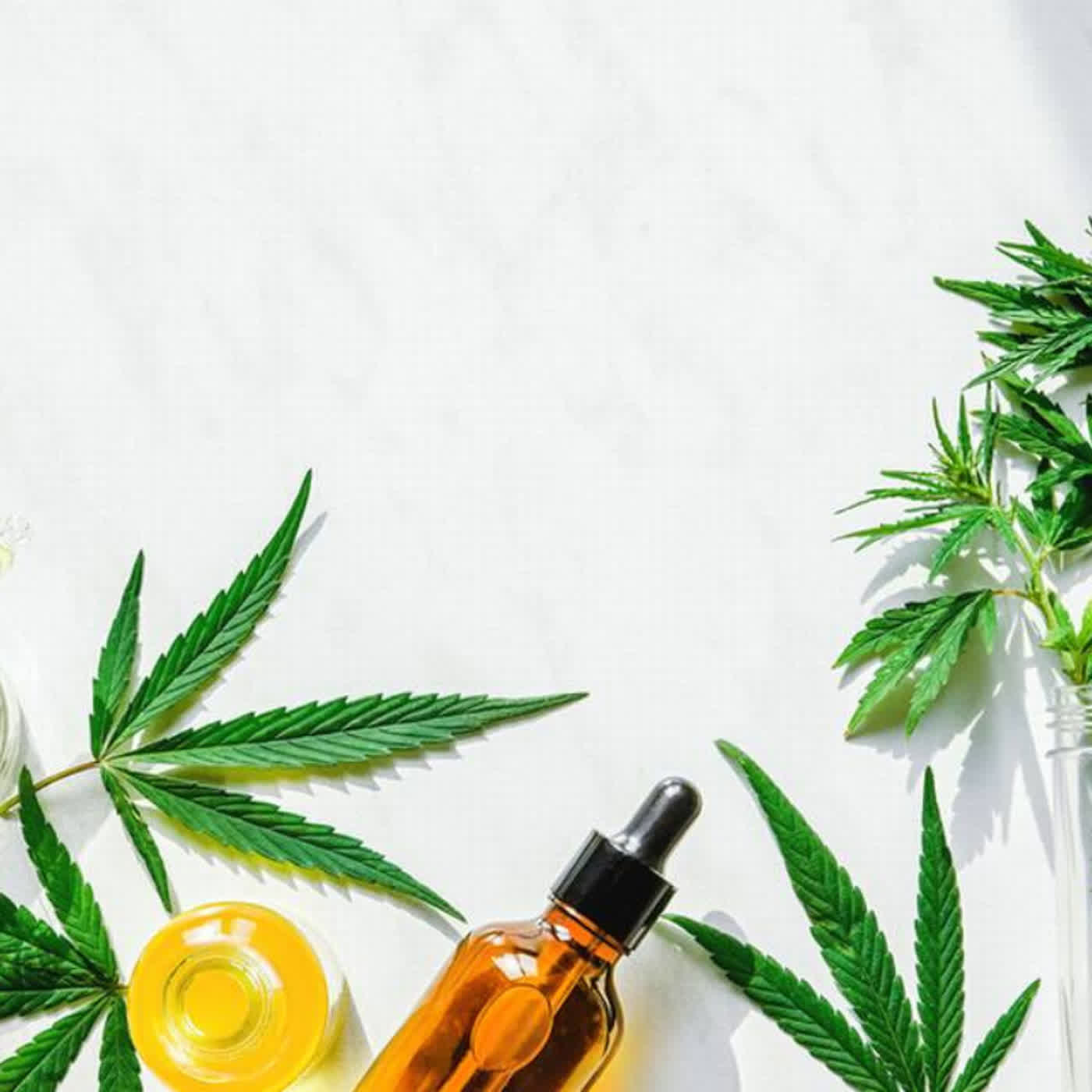 Triple Green Farms CBD Gummies - Reviews, Price, Side Effects!