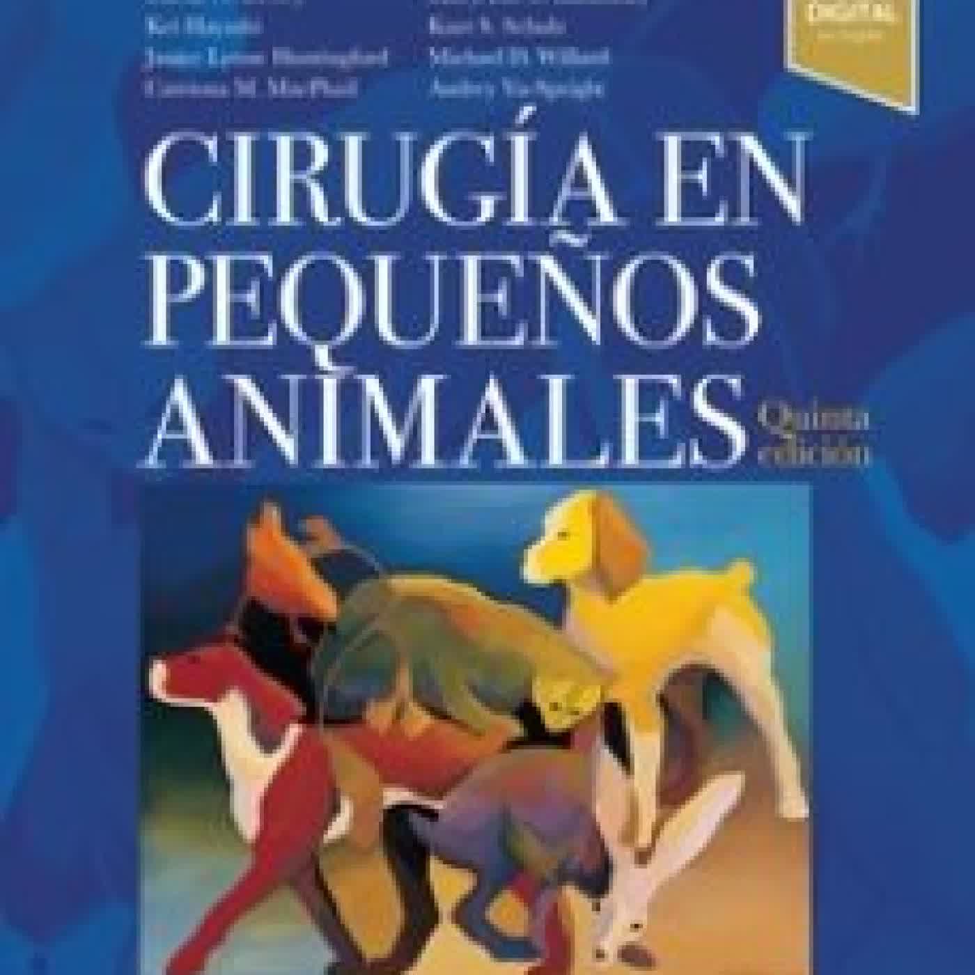 CIRUGIA EN PEQUEÑOS ANIMALES (5ª ED.) THERESA WELCH FOSSUM