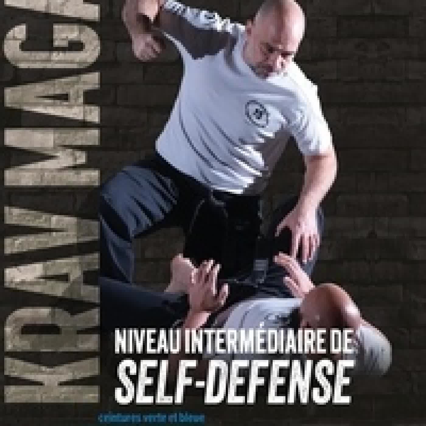 {téléchargement} Krav Maga, niveau intermédiaire de la self-défense - Ceintures bleue et verte