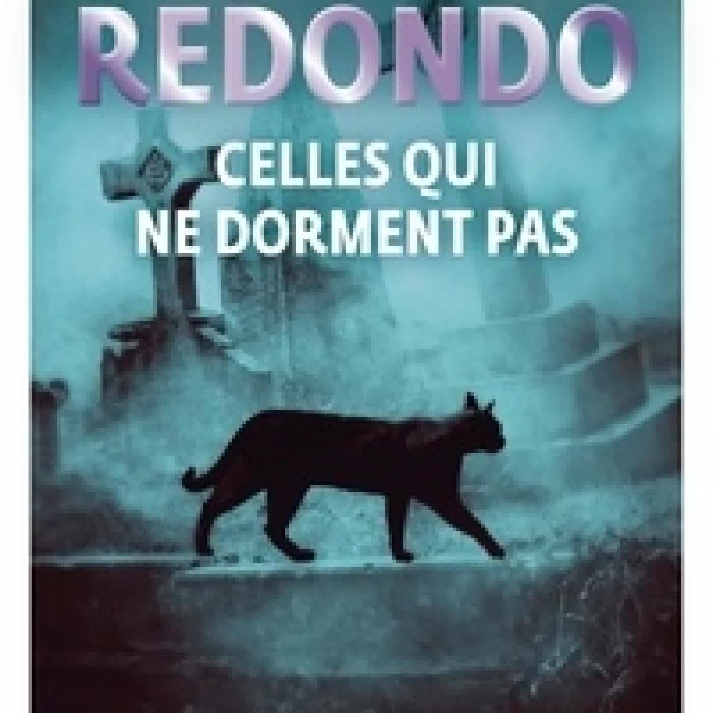 Lire en ligne : Celles qui ne dorment pas