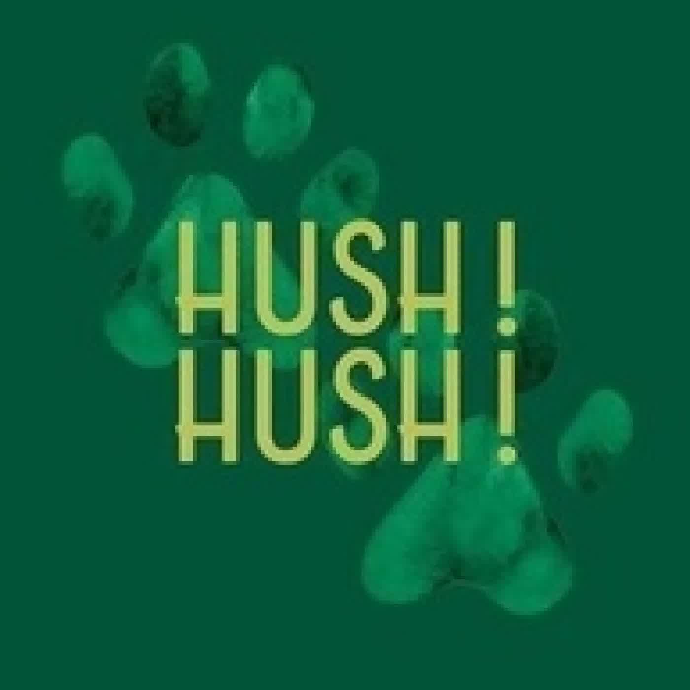 Lire en ligne : Hush ! Hush !