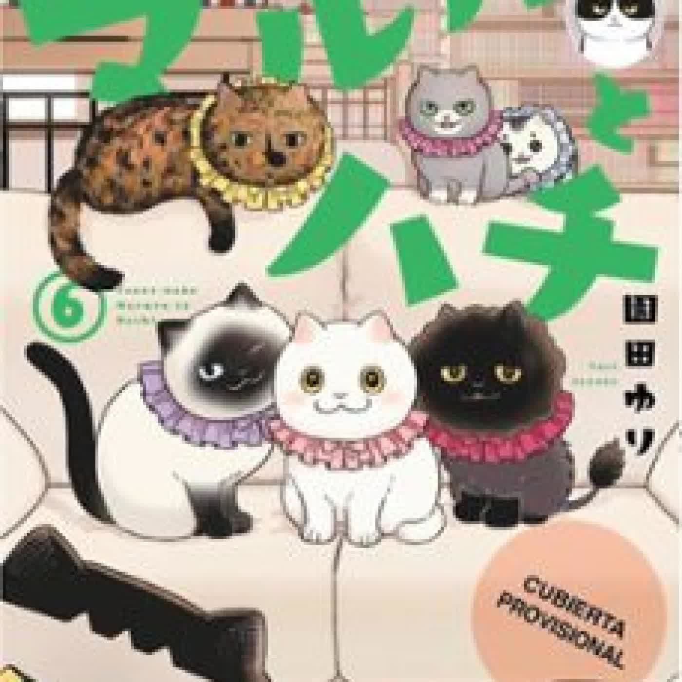 LOS AMIGATOS HACHI Y MARURU 6 Yuri Sonoda