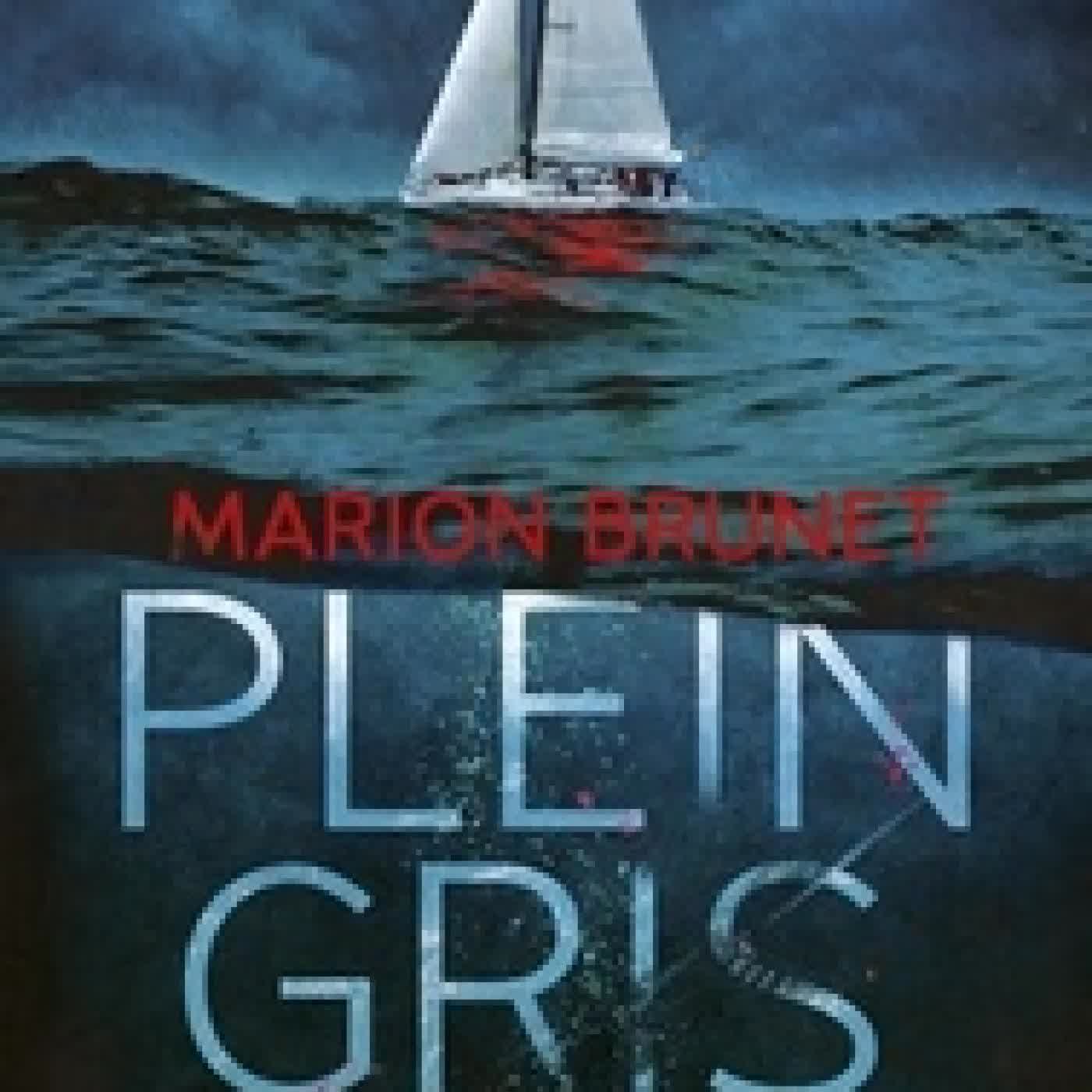 Lire en ligne : Plein gris
