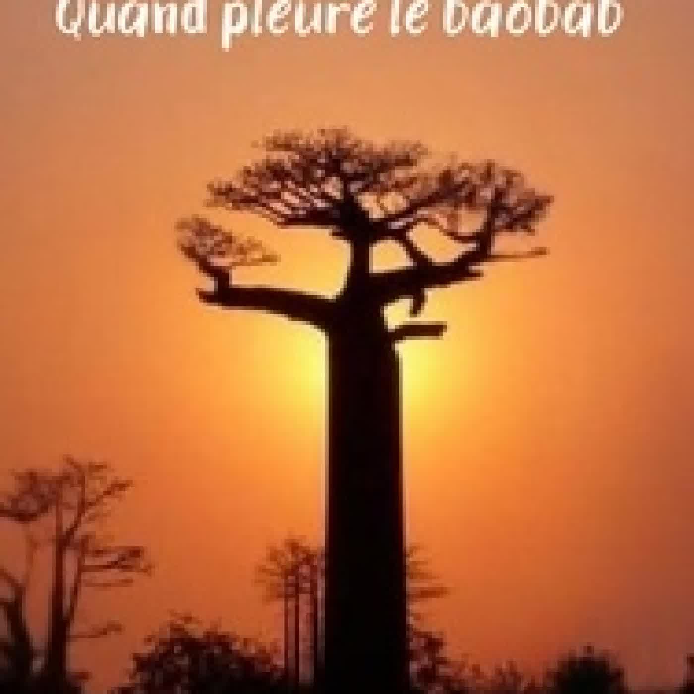 {téléchargement} Quand pleure le baobab