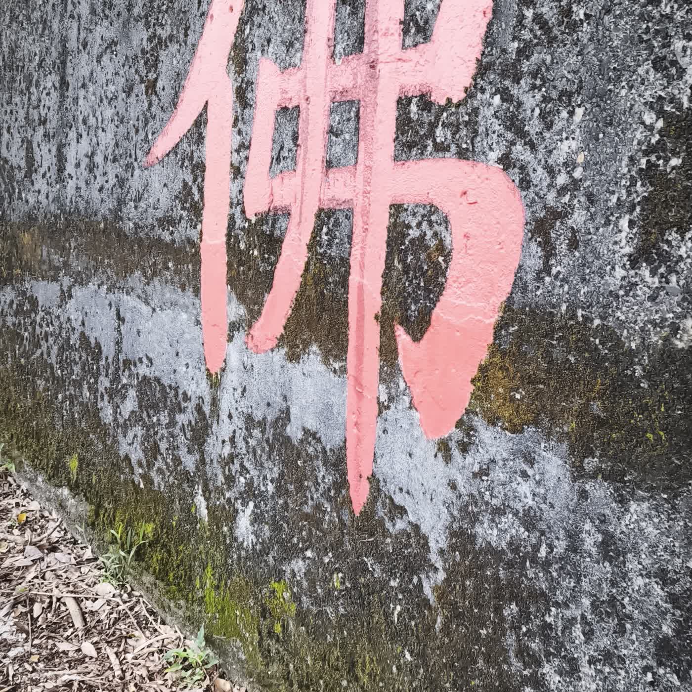 數據看跑者的感冒恢復 episode artwork