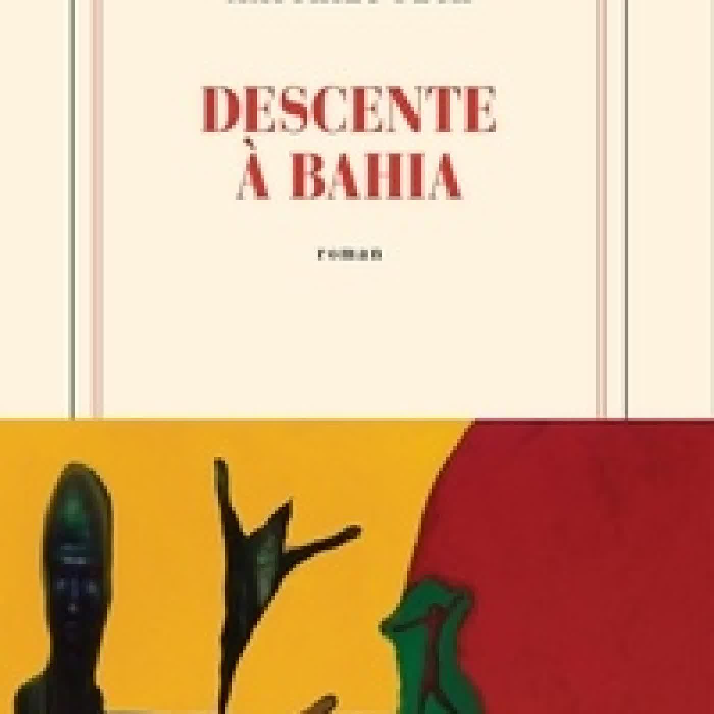Télécharger Pdf Descente à Bahia