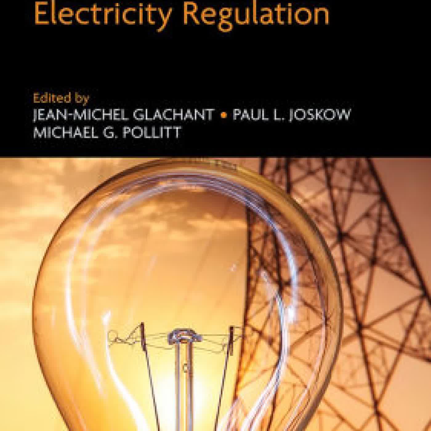 Read online: Handbook on Electricity Regulation by Jean-Michel Glachant, Paul L. Joskow, Michael Pollitt
