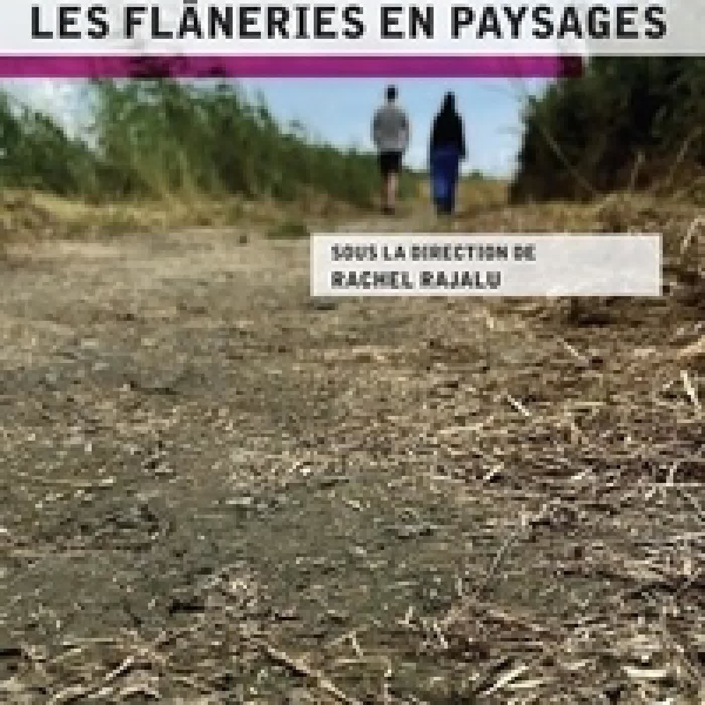 Télécharger Pdf Les flâneries en paysages
