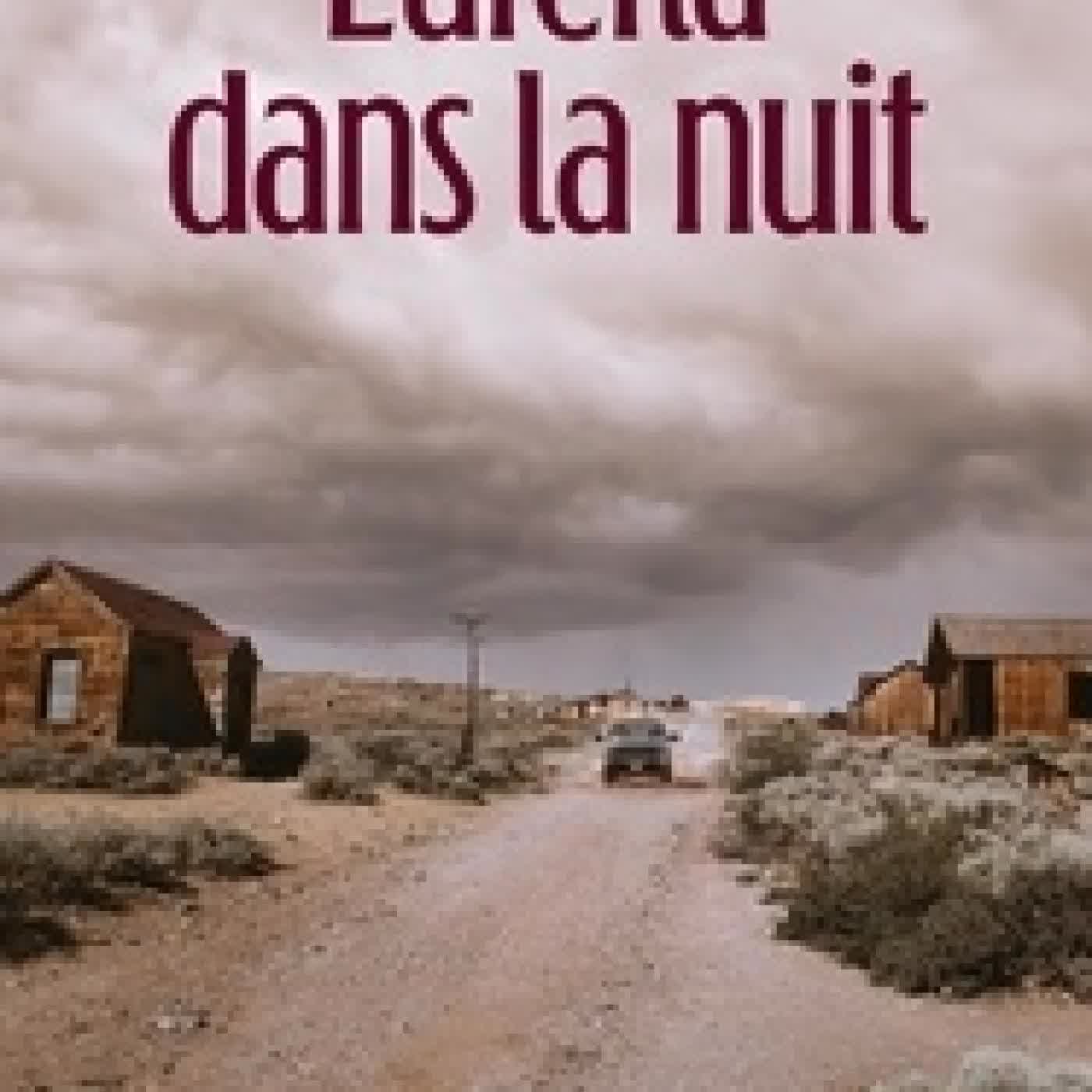Télécharger Pdf Eureka dans la nuit