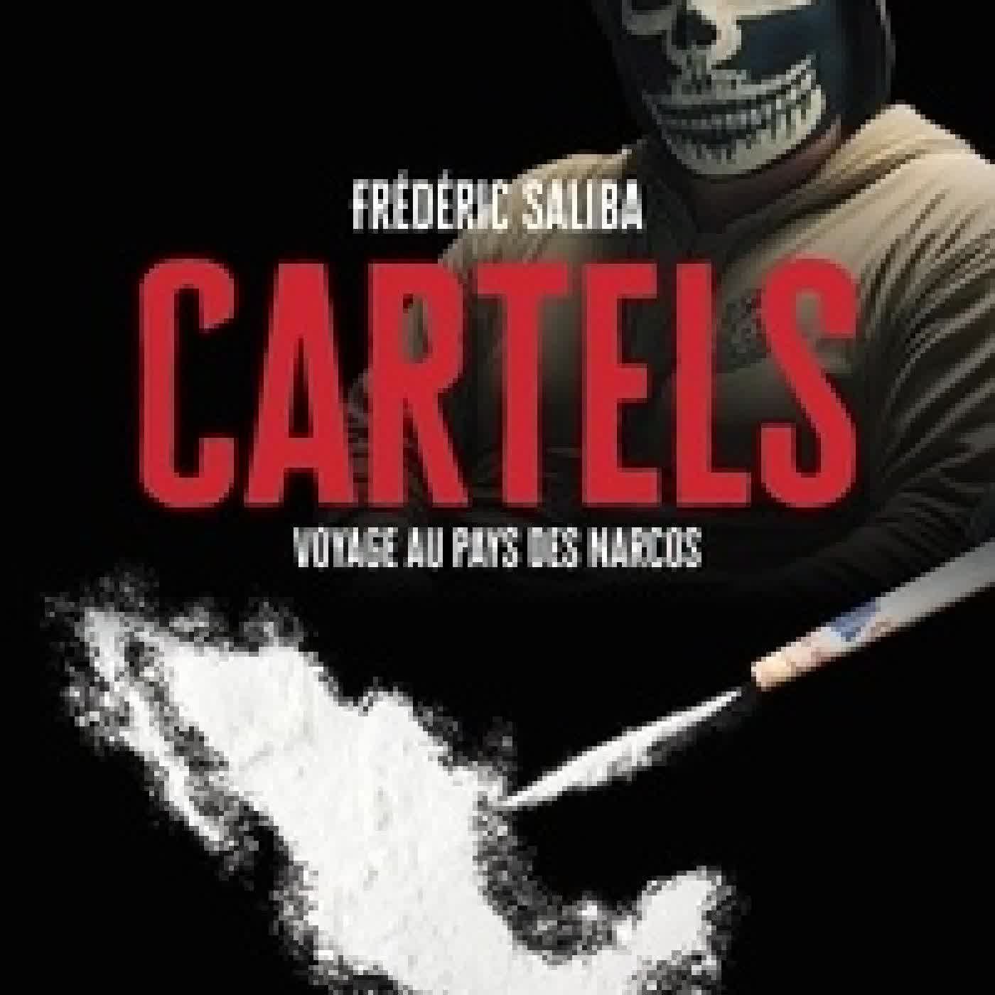 Télécharger Pdf Cartels - Voyage au pays des Narcos