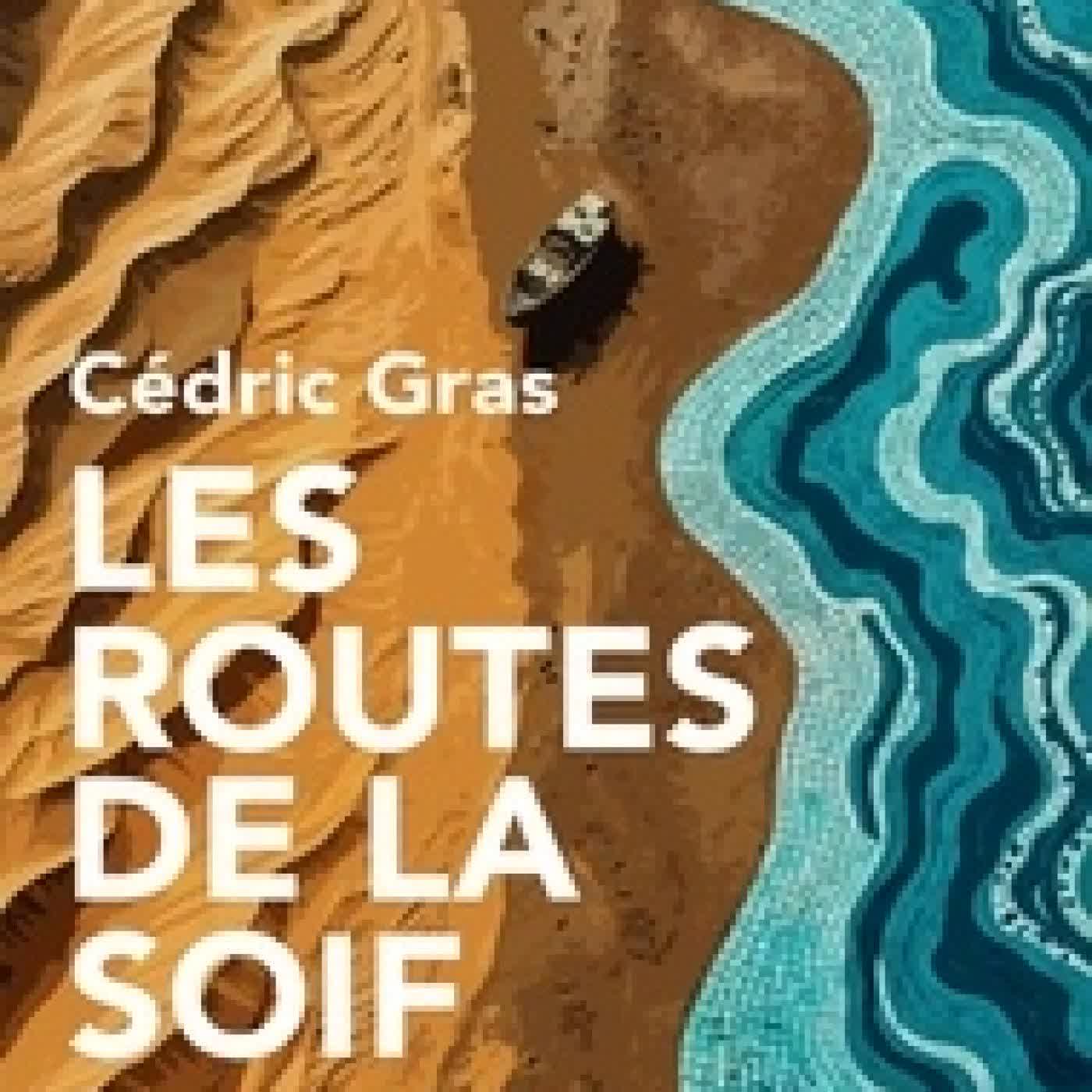 Lire en ligne : Les routes de la soif - Voyage aux sources de la mer d'Aral