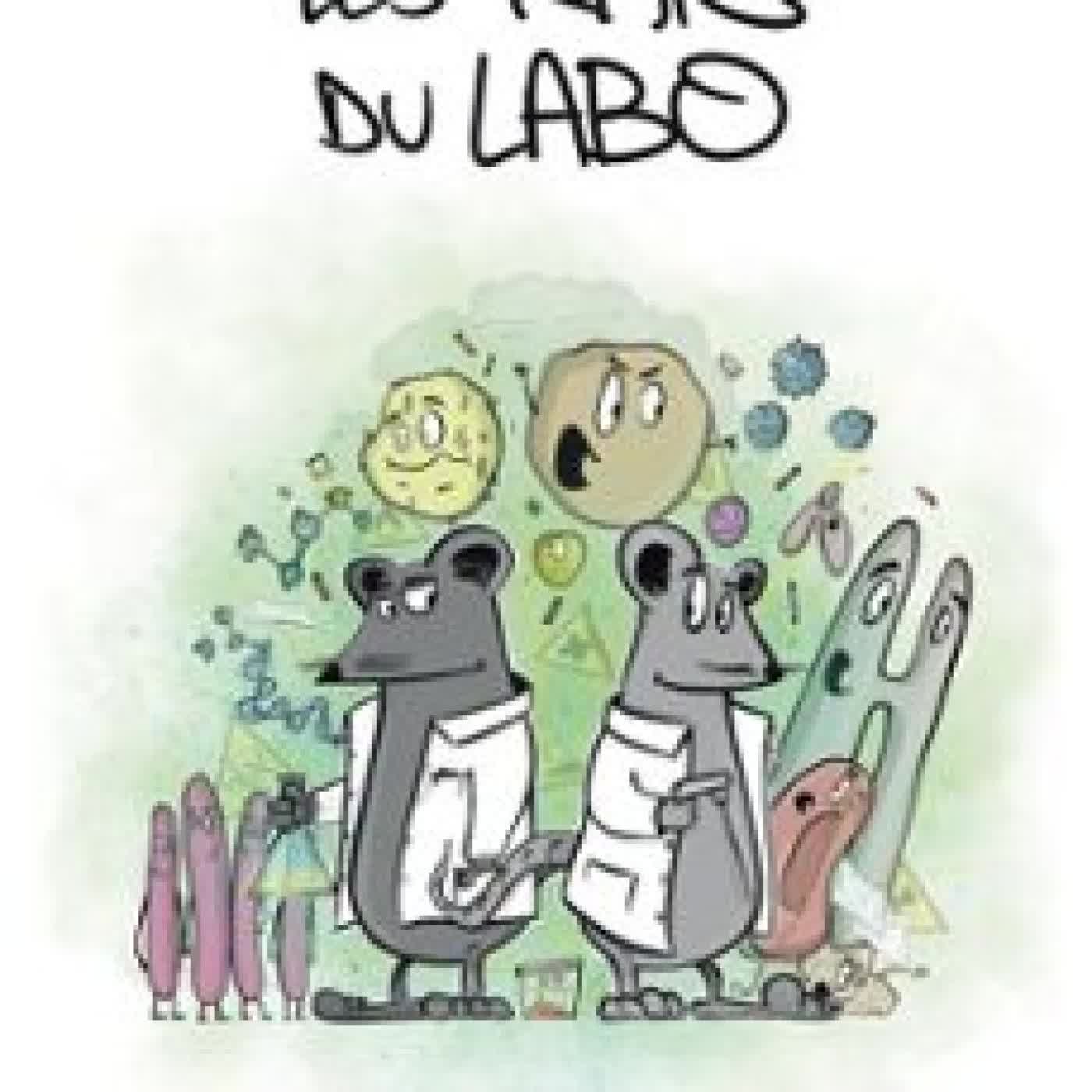 LES RATS DU LABO JULIEN ERRA