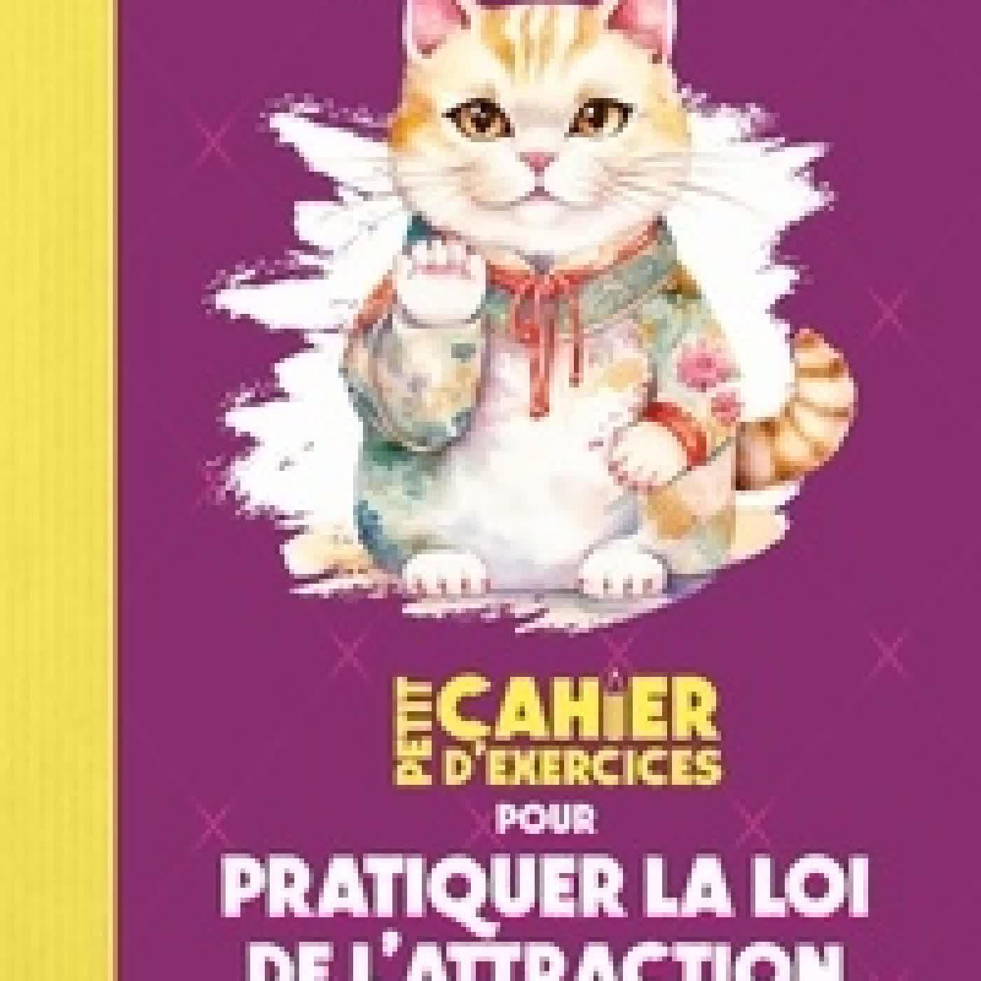 Télécharger Pdf Petit cahier d'exercices pour pratiquer la loi de l'attraction