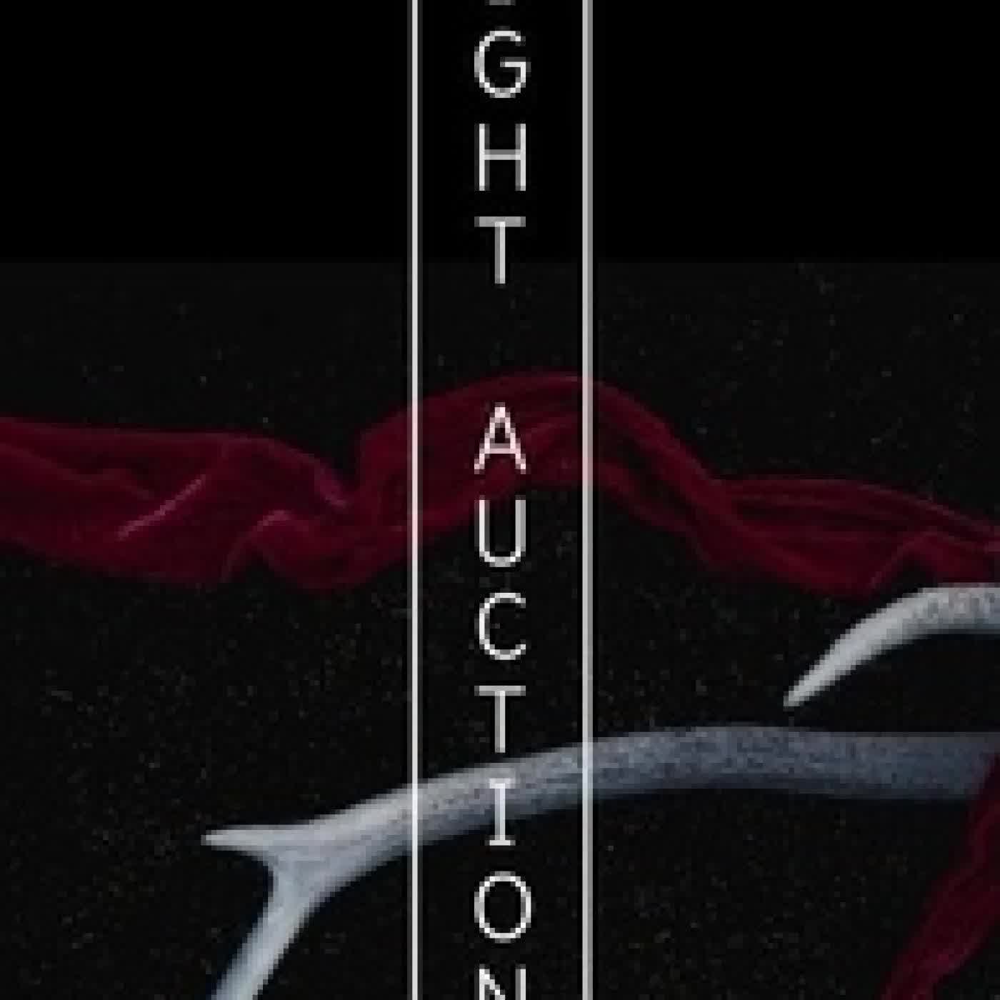 Télécharger Pdf Night Auction