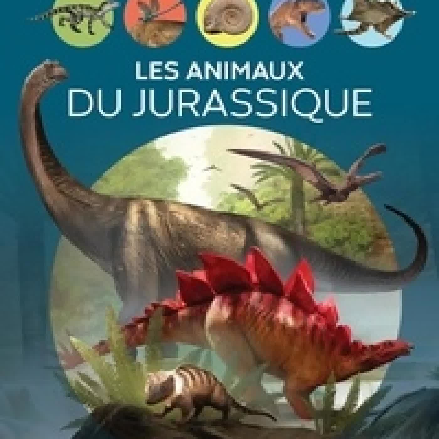 Télécharger Pdf Les animaux du Jurassique