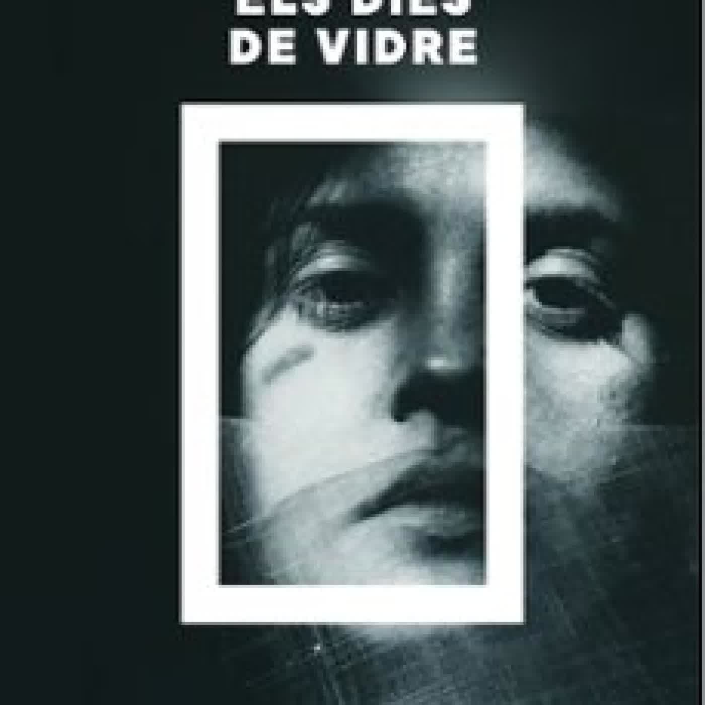 ELS DIES DE VIDRE NICOLETTA VERNA