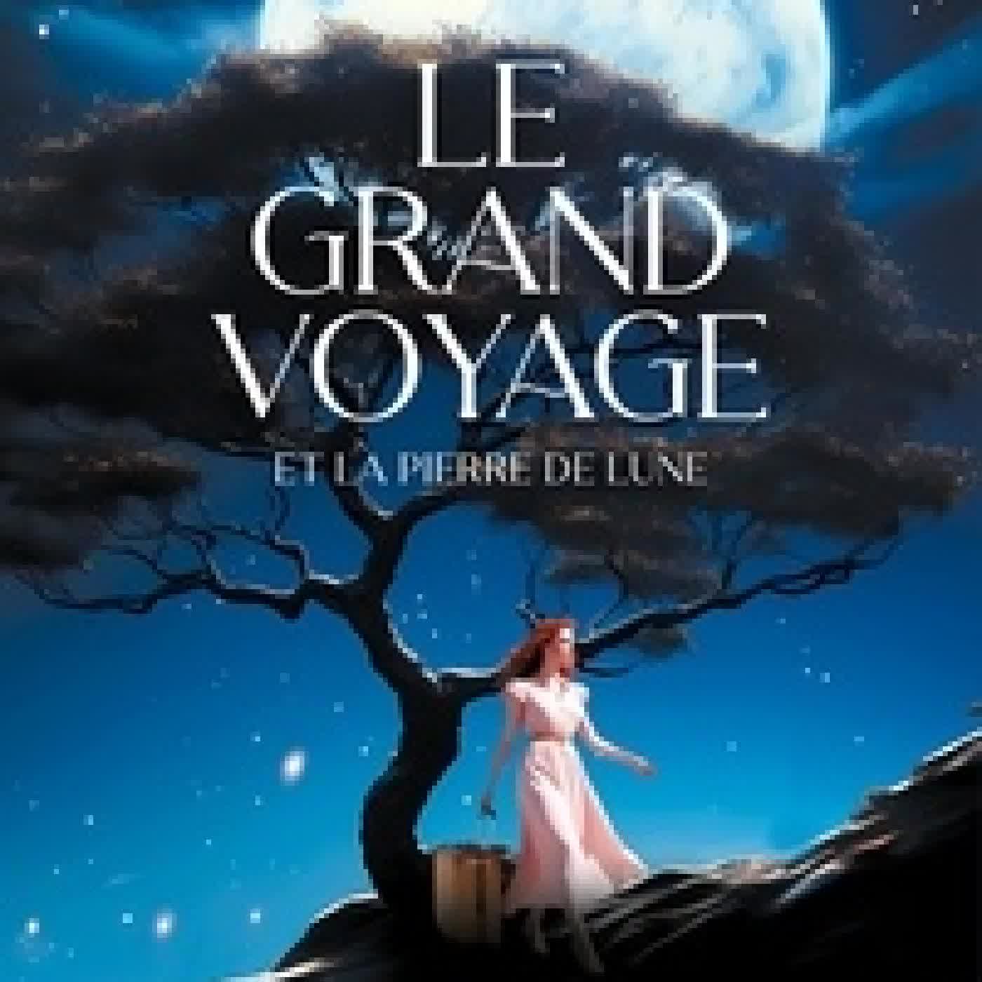 {téléchargement} Le grand voyage Tome 1