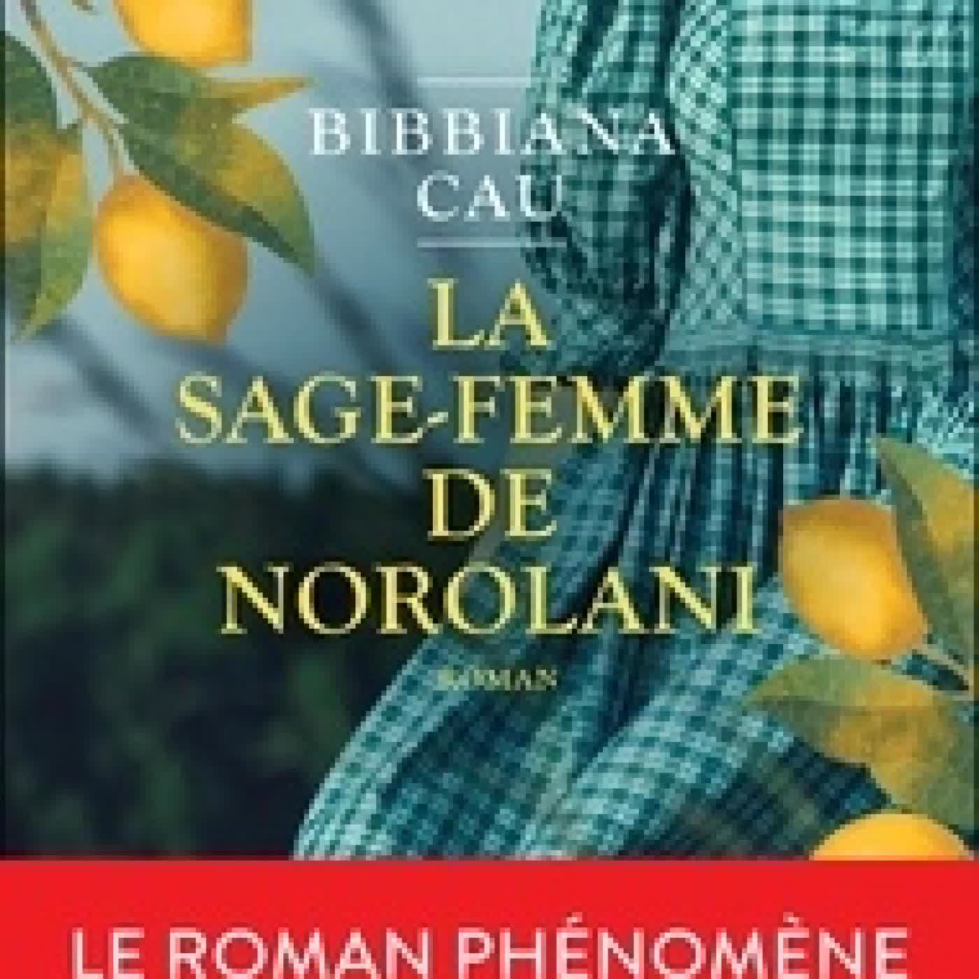Télécharger Pdf La sage-femme de Norolani