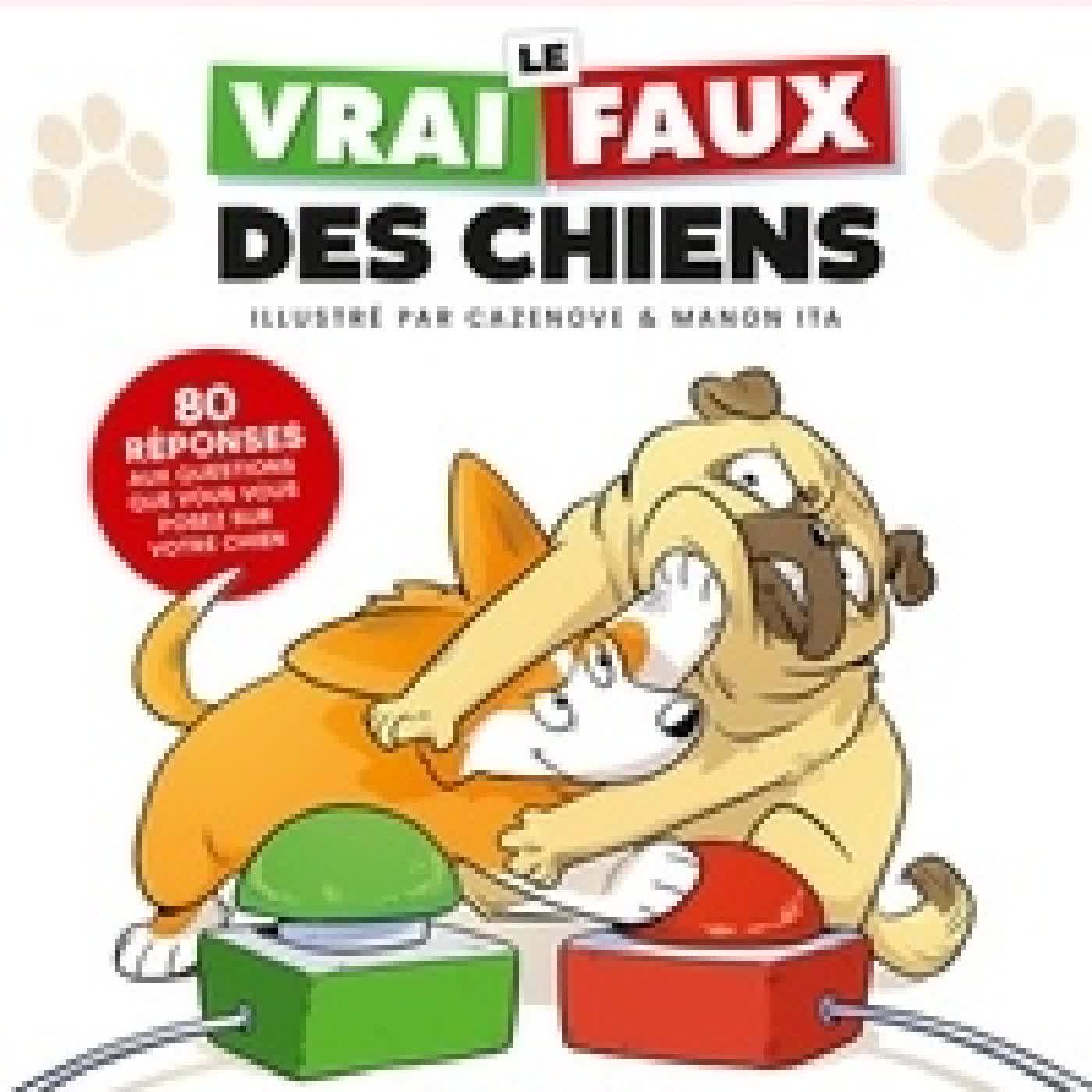 {téléchargement} Le vrai/faux des chiens