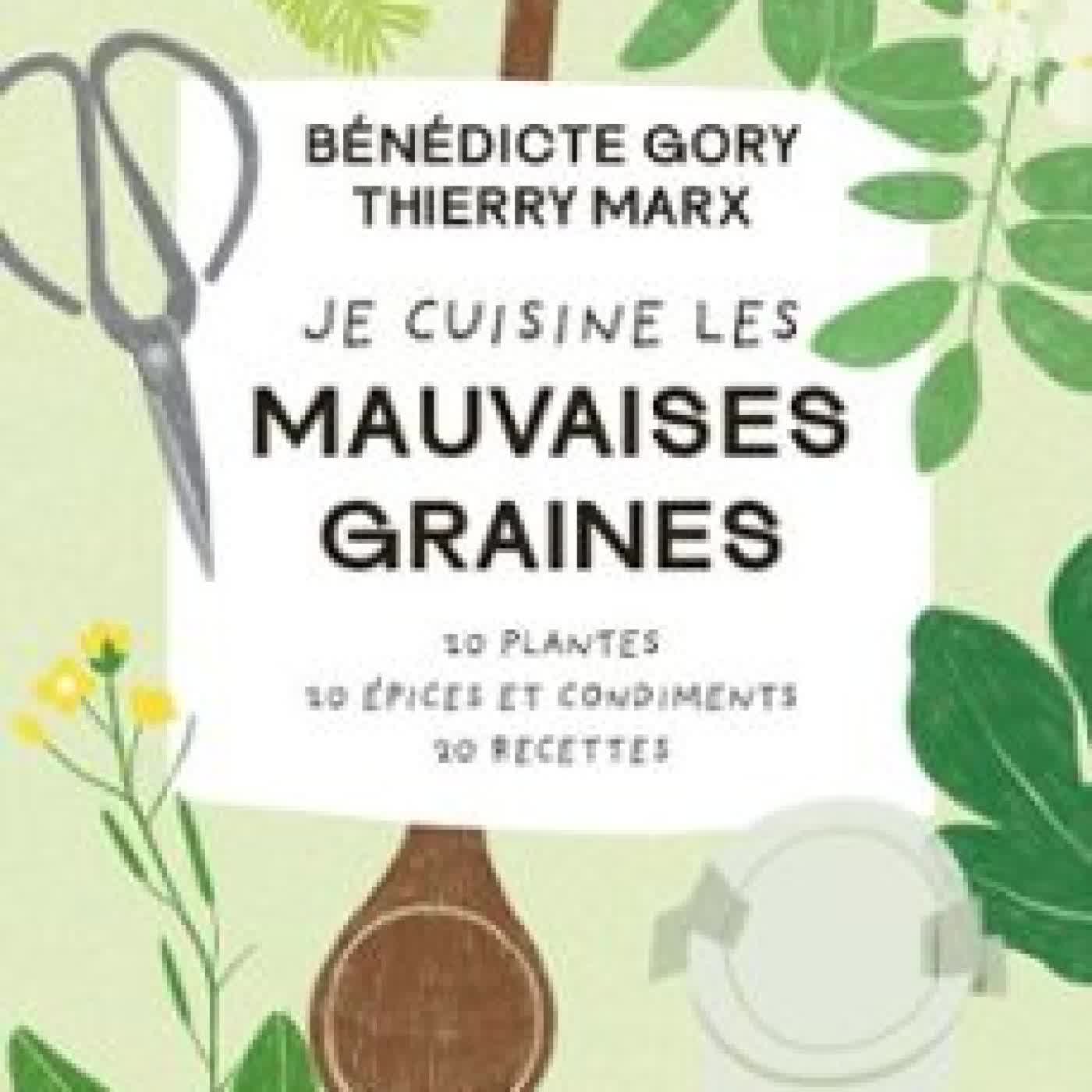 JE CUISINE LES MAUVAISES GRAINES. 20 PLANTES, 20 ÉPICES ET CONDIMENTS, 20 RECETTES THIERRY MARX, BÉNÉDICTE GORY