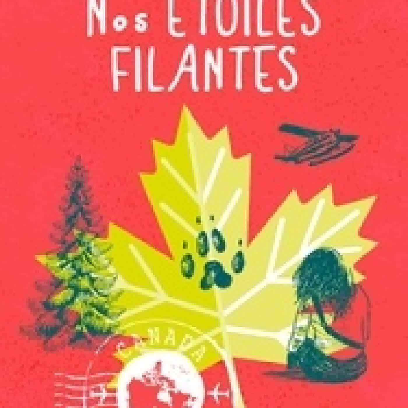 Lire en ligne : Nos étoiles filantes