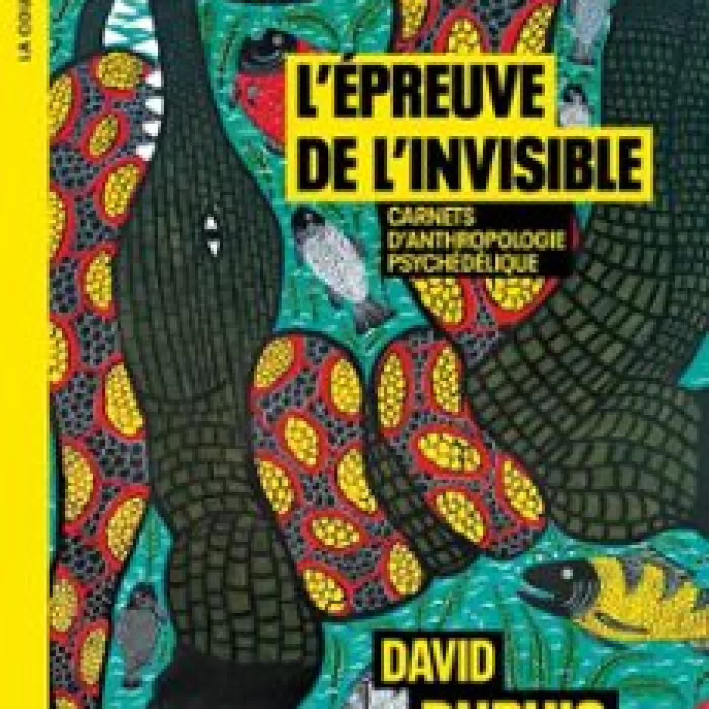 L'ÉPREUVE DE L'INVISIBLE DAVID DUPUIS