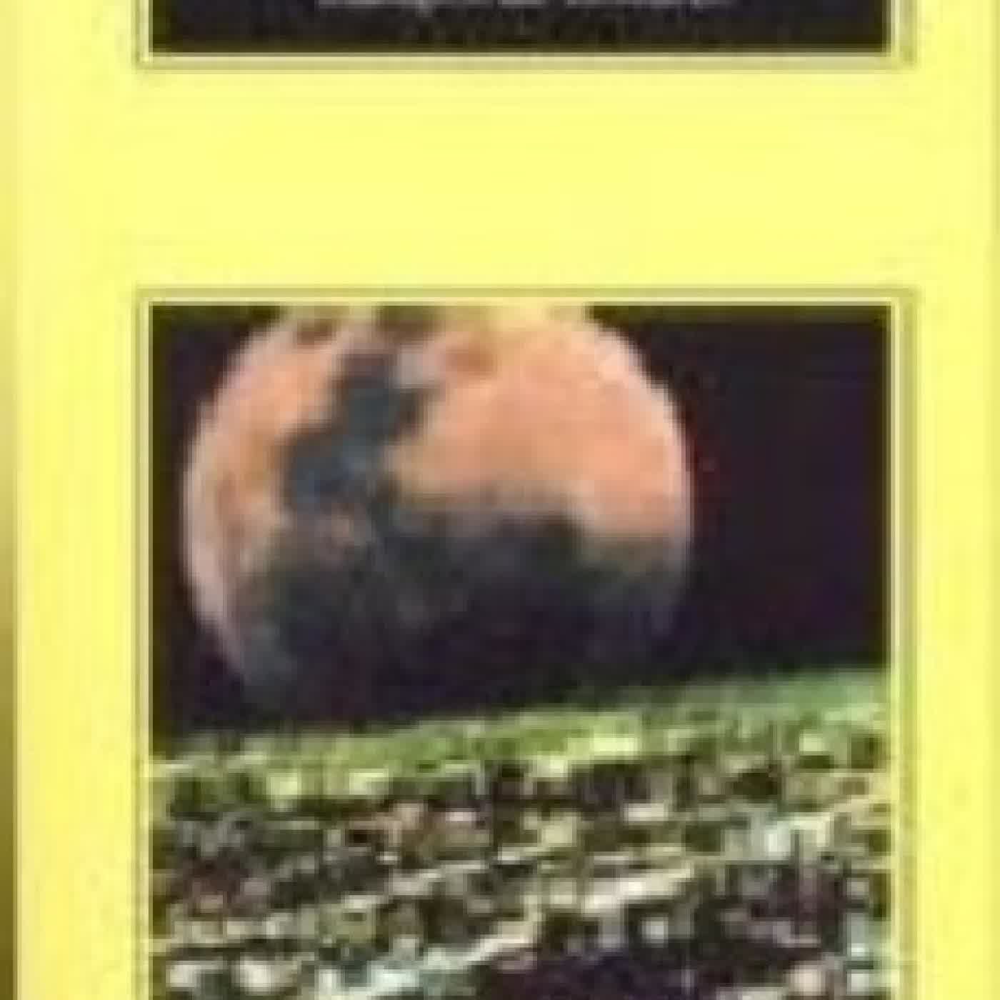 CAMPOS DE LONDRES MARTIN AMIS